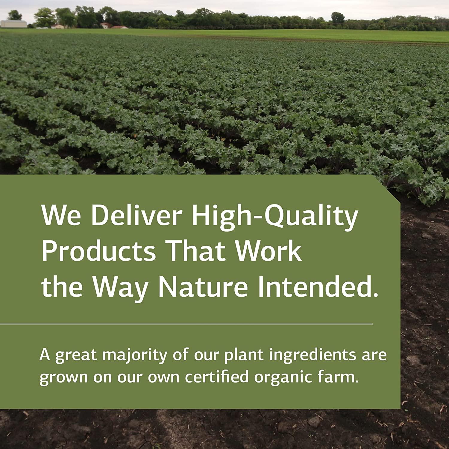 Standard Process Manganese B12 Whole Food Hemoglobin and Antioxidant