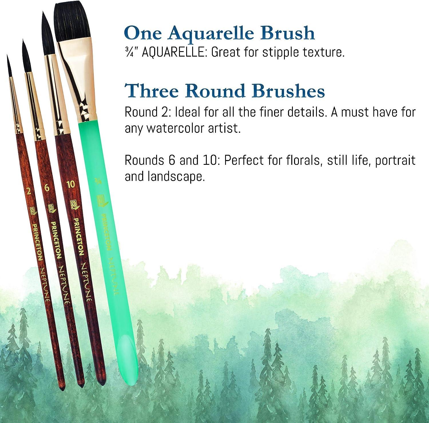 Princeton Neptune Watercolor Brushes 4750 Series - 4pc Soft Synthetic  Squirrel Watercolor Brush Set - Aquarelle 3/4 inch - Round 2 - Round 6 -  Round 10 - Artist Paint Brushes - Paint Brush Set