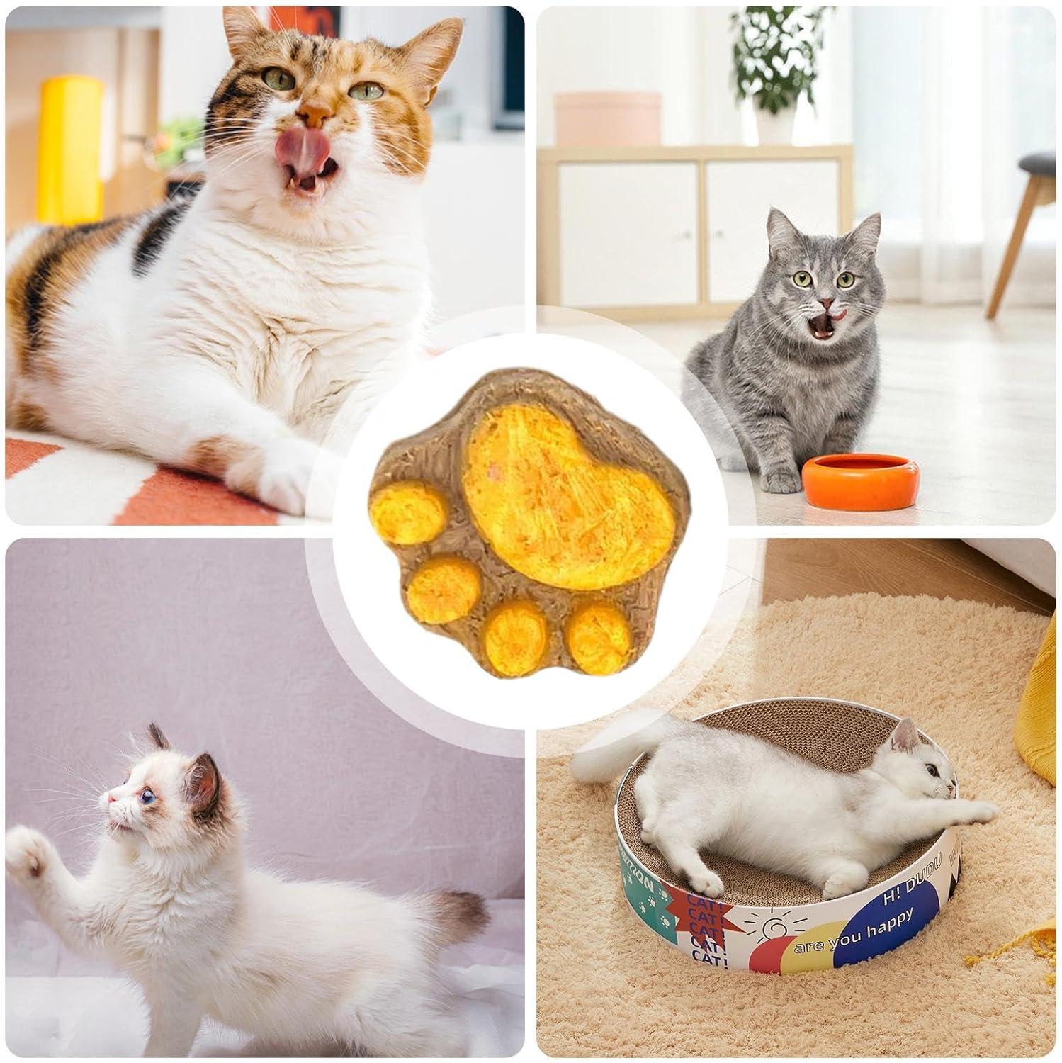 Paw Cat Treats - Natural Cat Paw Biscuits for Oral Cleaning | Healthy Dry  Cat Snacks for