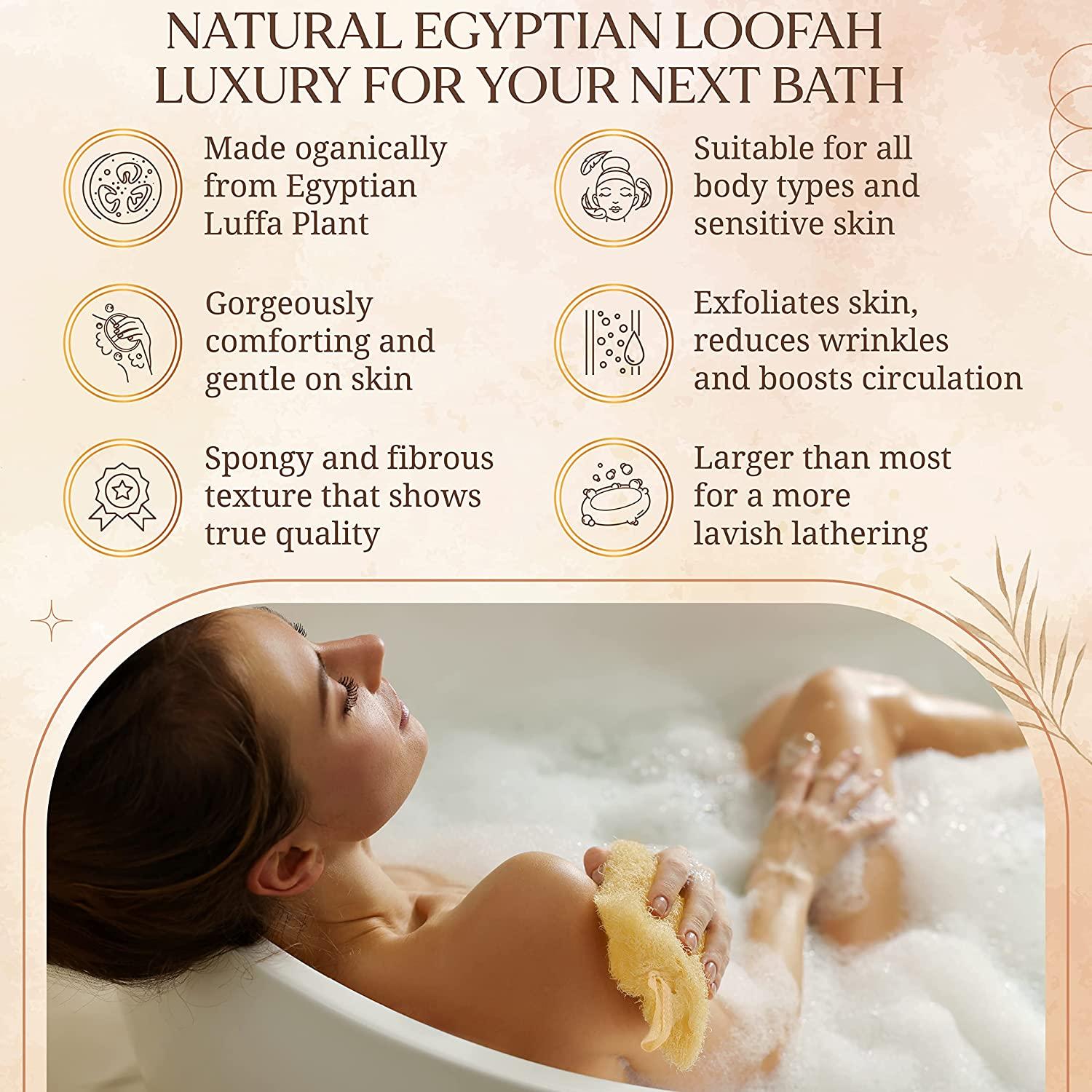 Egyptian Natural Loofah Sponge Exfoliating Body Scrubber Our Bath