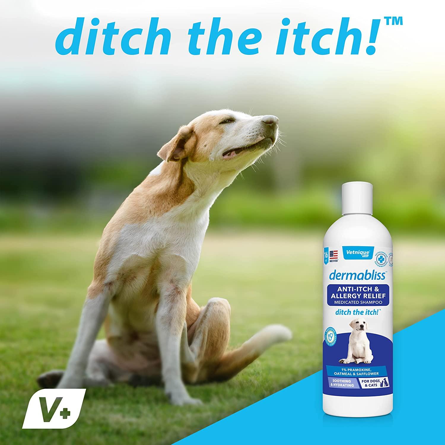 Vetnique Labs Dermabliss Dog Allergy Anti Itch And Medicated Shampoos