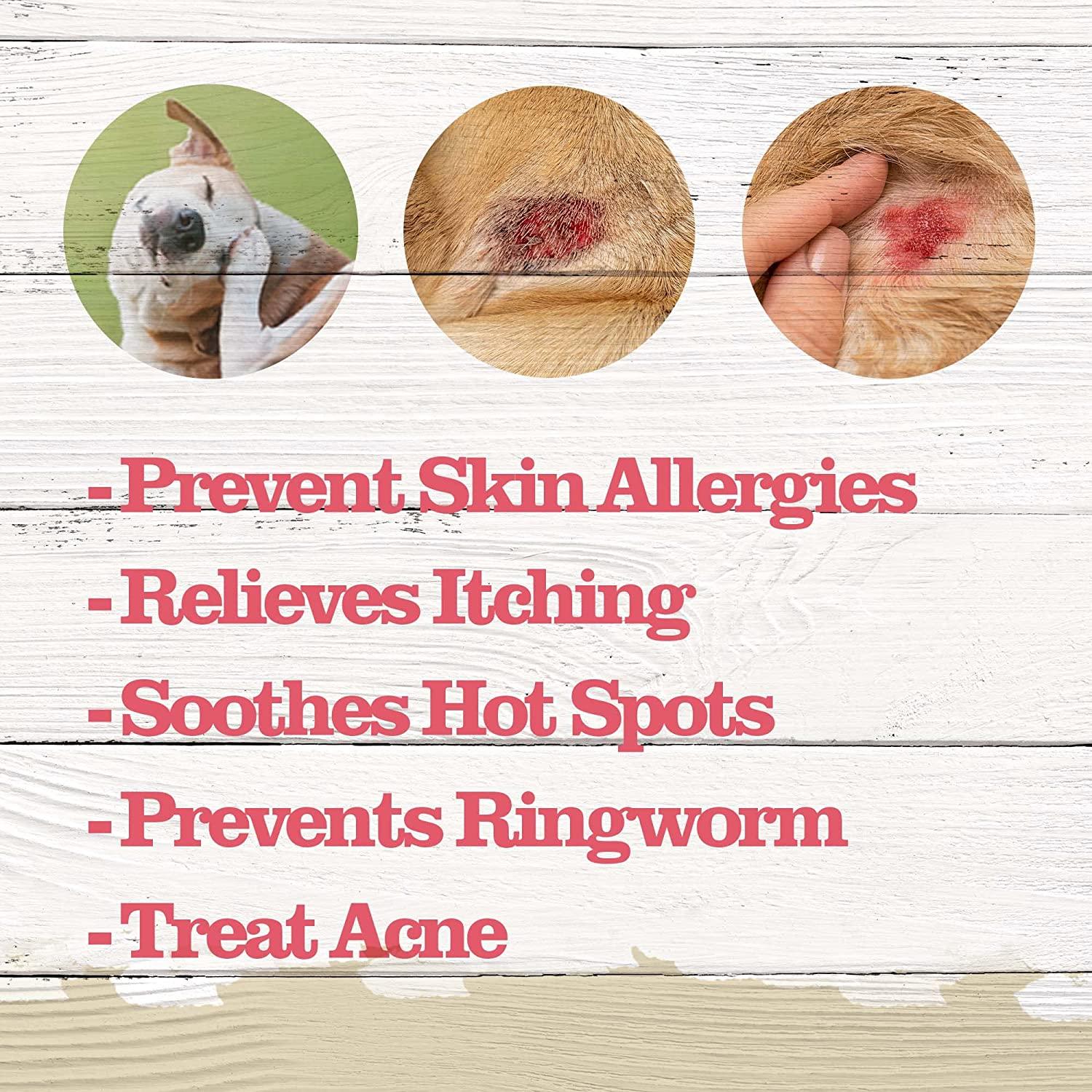 Dr. Pol Anti Itch Bundle for Pets Ketoconazole Shampoo, Wipes, and