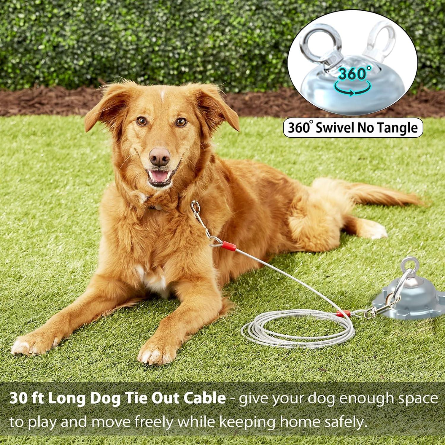 360 Swivel Dog Tie Out Cable and Stake - Heavy Dog Yard Stake Rust Proof  Dog Tether