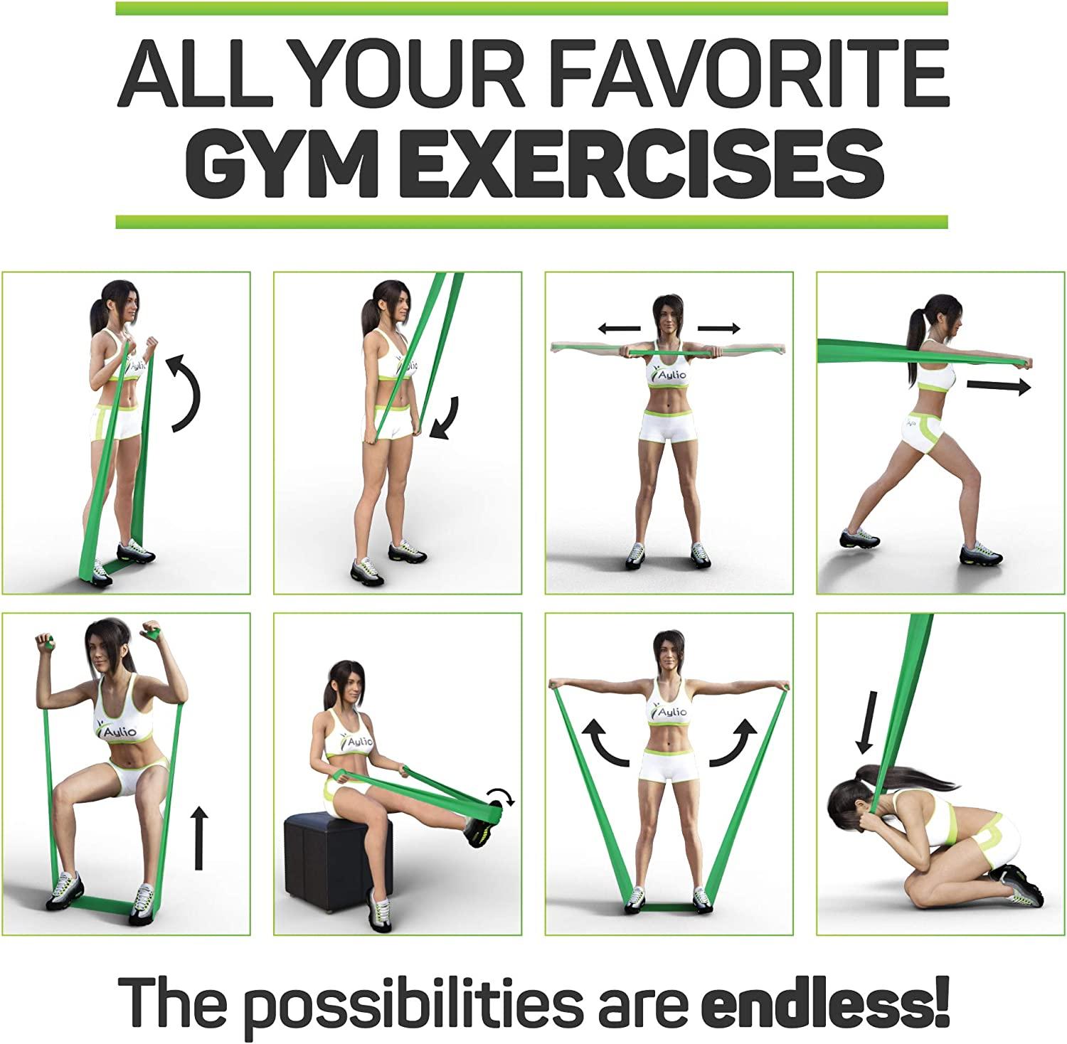 Premium Exercise Bands and Door Anchor