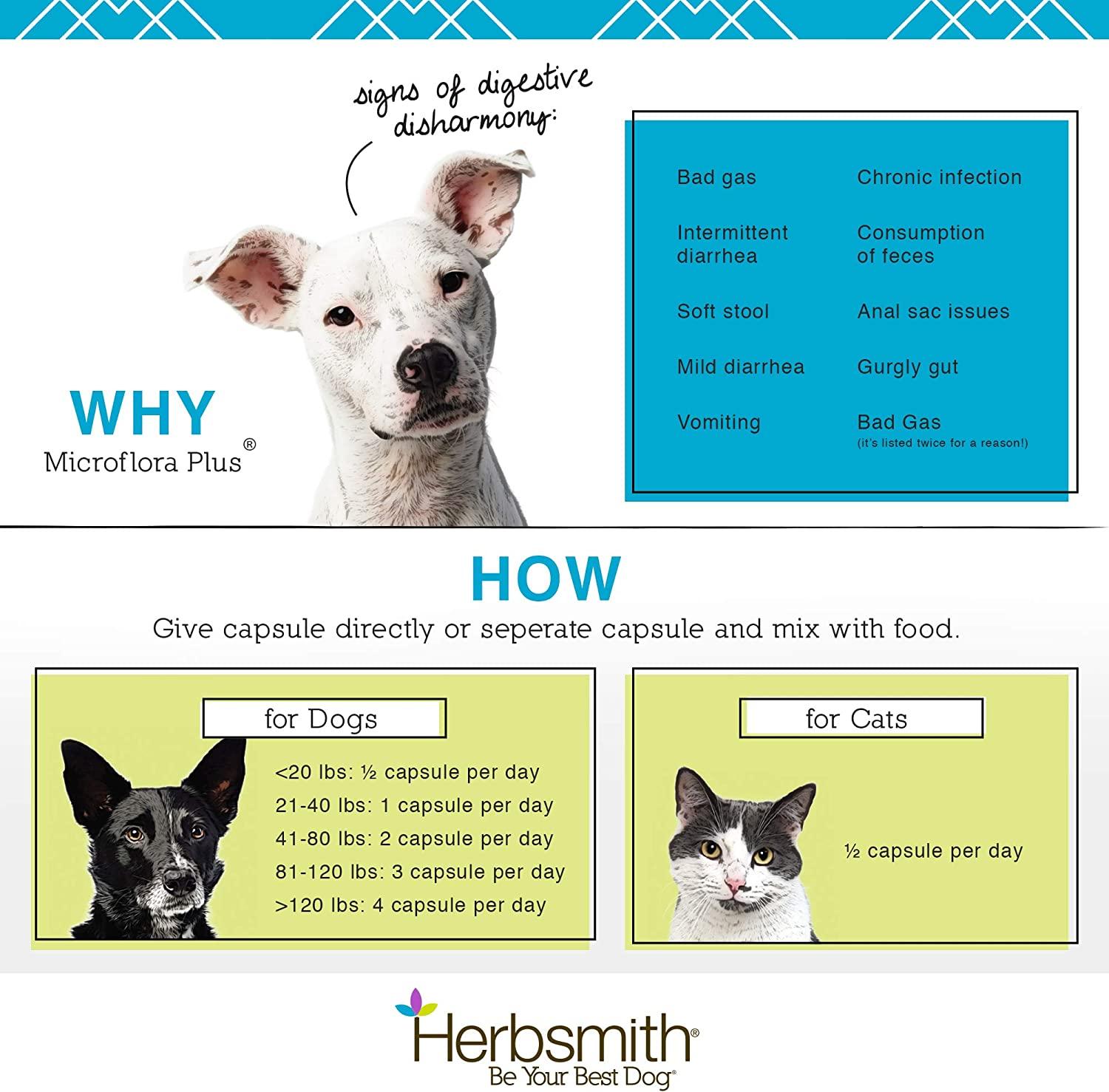 Herbsmith Microflora Plus Cat Digestive Aid 30 Capsules Prebiotics