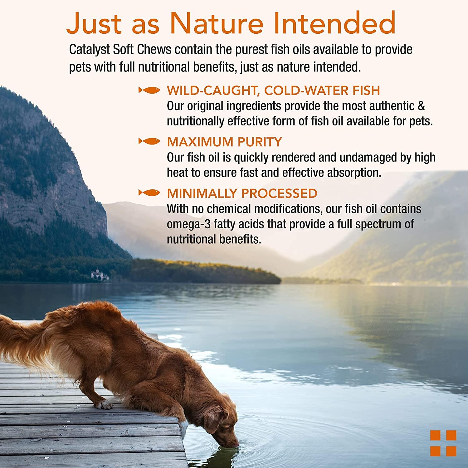 Animal Pharmaceuticals Catalyst+ Omega 3 Fish Oil for Dogs & Cats