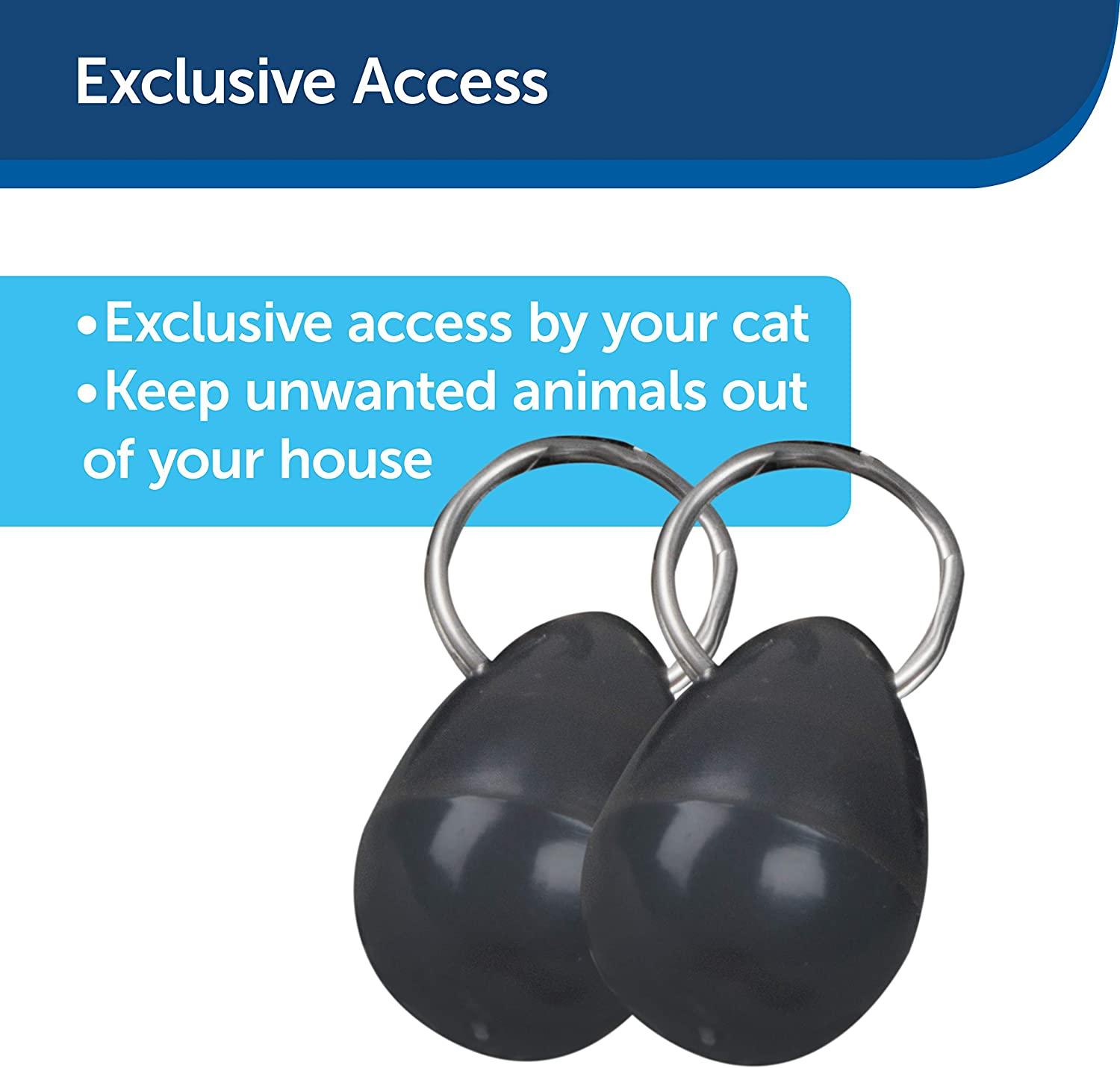 Petsafe magnetic collar key cheap