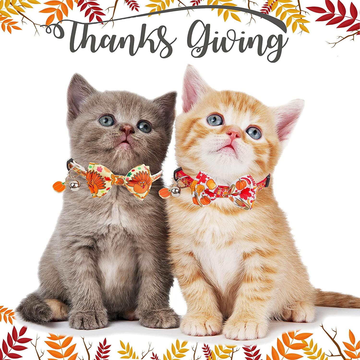 Thanksgiving cat collars online