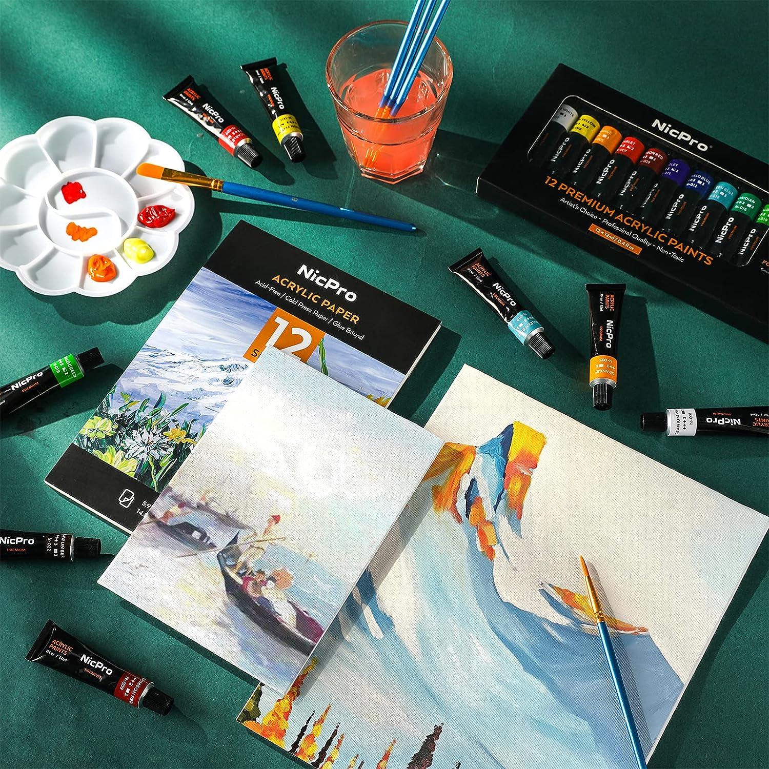 Nicpro Acrylic Paint Set Kid & Adult Art Painting Party Kit 2 Set of Acrylic  Paint (12 Colors) 30pcs Paint Brushes 5 Canvas Panel Wood Easel 3 Tray A5  Paper Pad Color