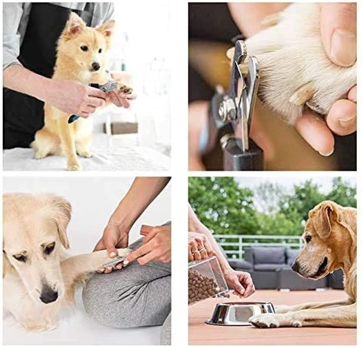 Top paw quickfinder safety dog hotsell nail clipper