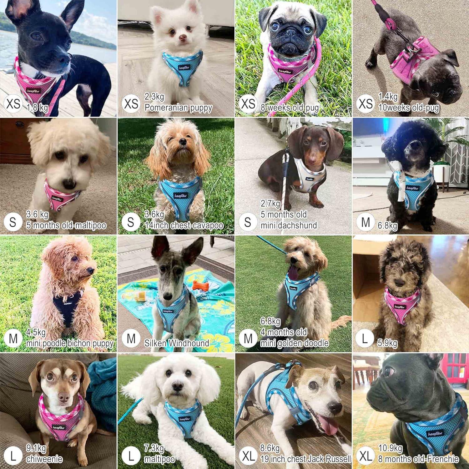 Voyager Extra Small Puppy Harness Best Pet Supplies Voyager By