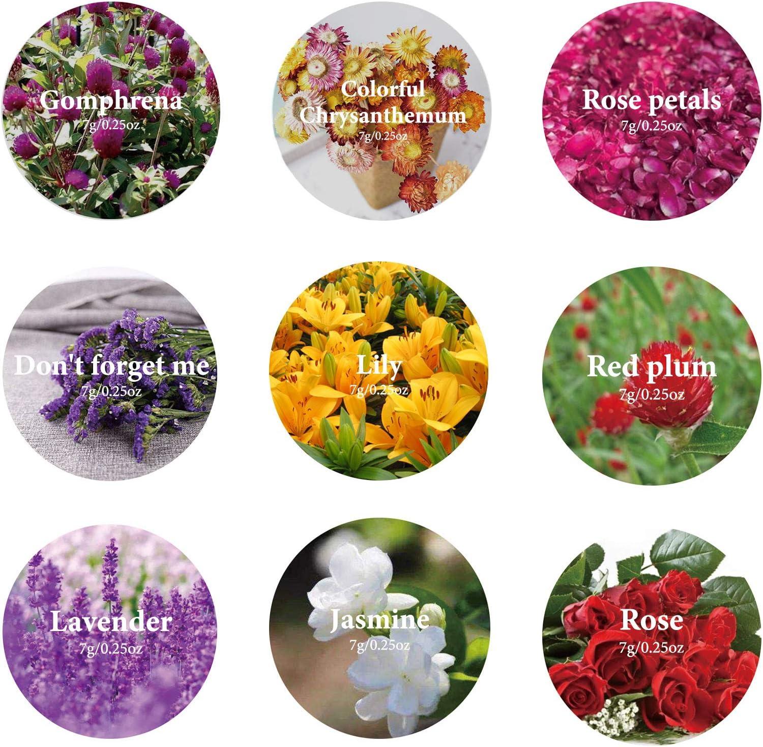 16 Bags Dried Flowers 5g per pack, candle making kit,Natural Dried Flowers  Herbs Kit for Soap Making, DIY Candle Making,dried flowers for crafts,Bath  - soap making supplies,Include Rose Petals,Lavender,Don't Forget  Me,Lilium,Jasmine,Rosebudsand More