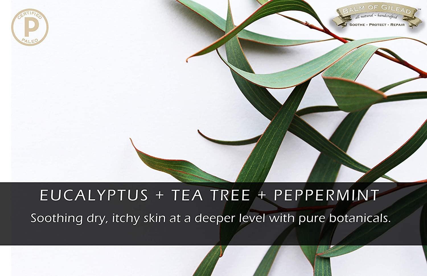 EUCALYPTUS + TEA TREE CREAM intensive moisture and healing FOOT AND