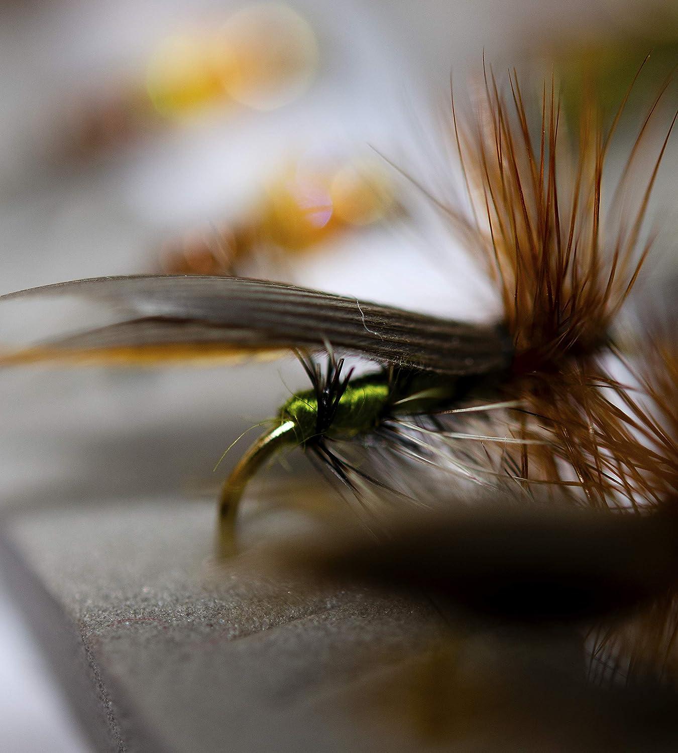 Outdoor Premium Fly Fishing Flies Assortment with Waterproof Box