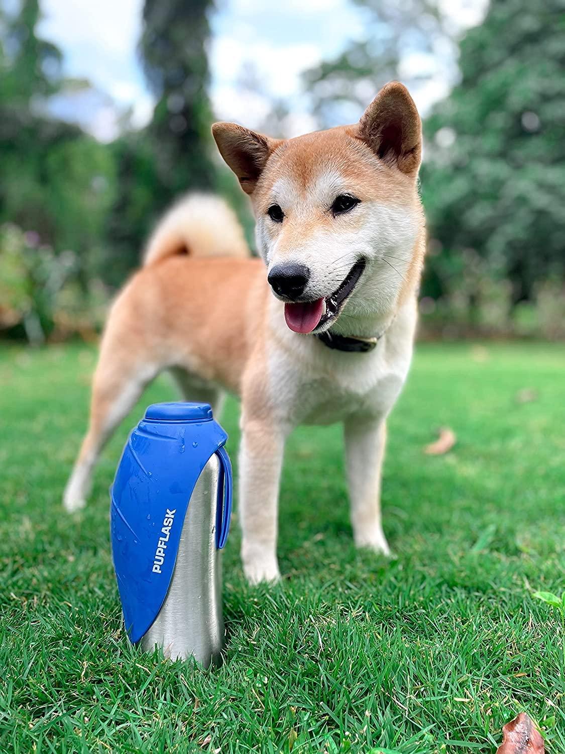 PupFlask Large Dog Water Bottle 27 or 40 OZ Stainless Steel Convenient Dog Water Dispenser