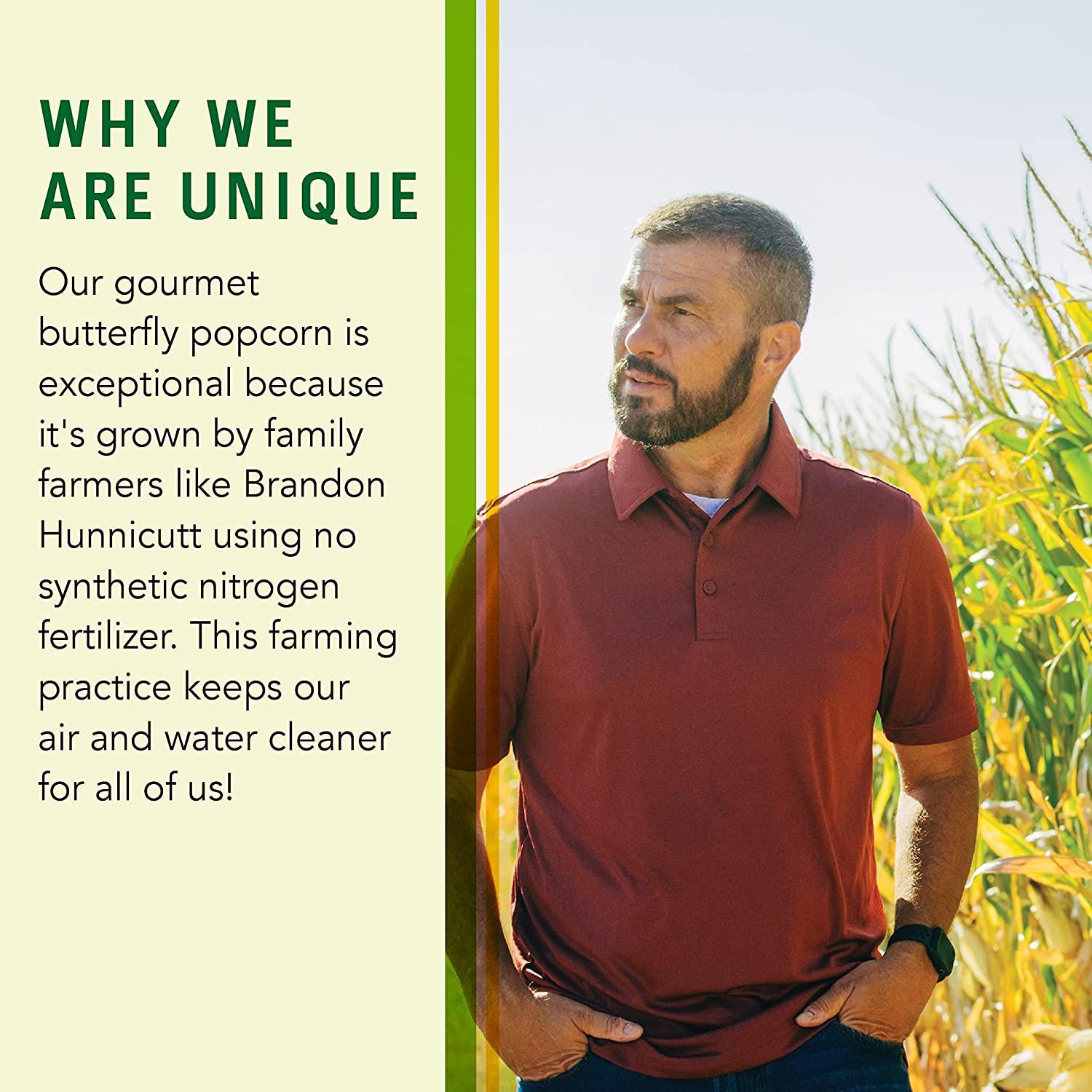 Connect Snacks NonGMO Large Popcorn Kernels (24 oz bag, 100 cups of popped popcorn) Gourmet