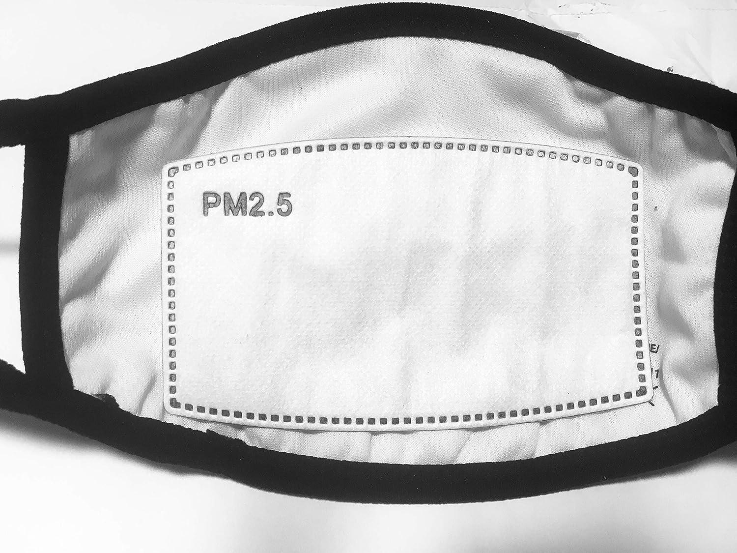 Stick On Mask Filters PM 2.5 Activated Carbon Anti Haze (Five Layer) 100 Replaceable Filters