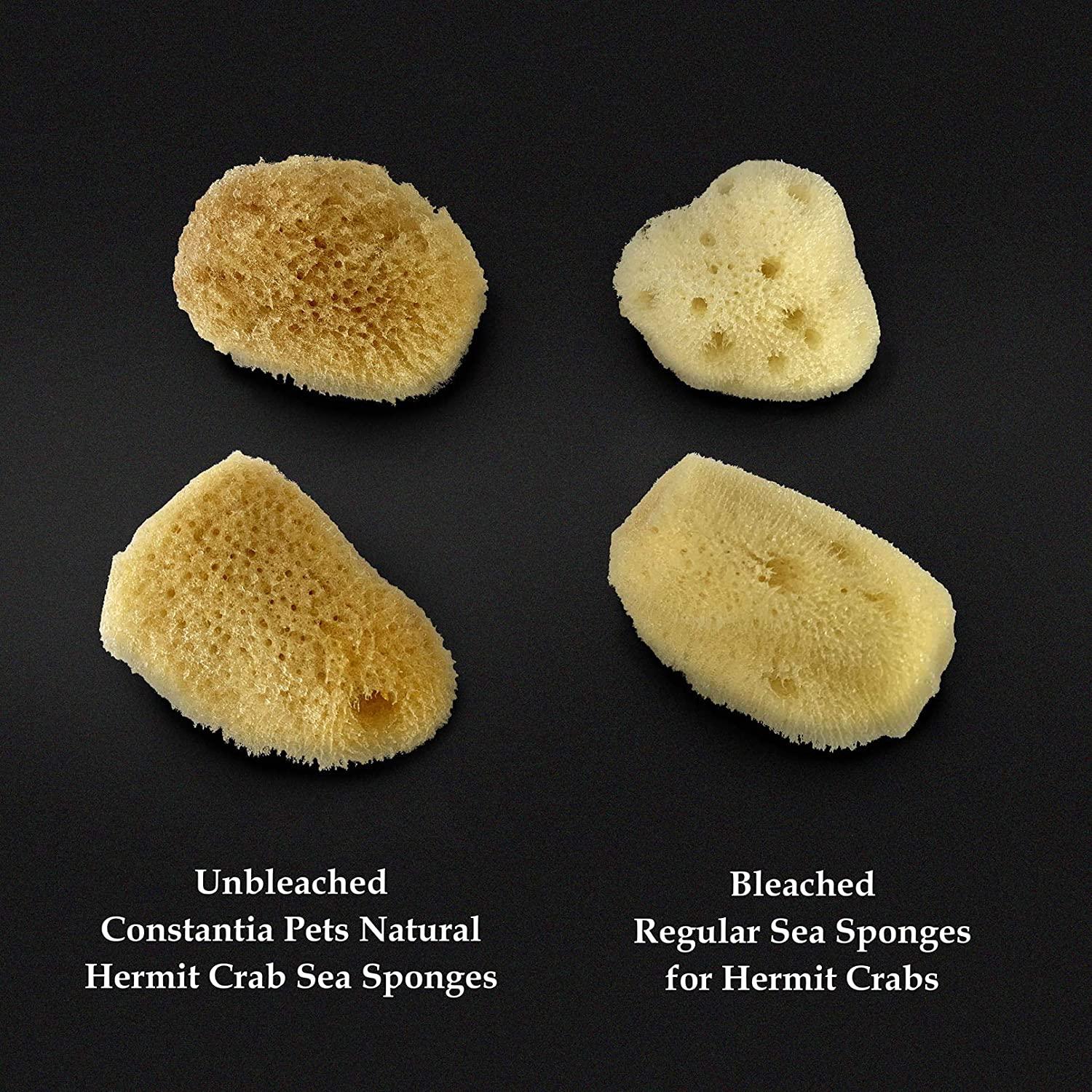 4-Pack of Natural Hermit Crab Sea Sponges - All Natural Sponge for Crabs 
