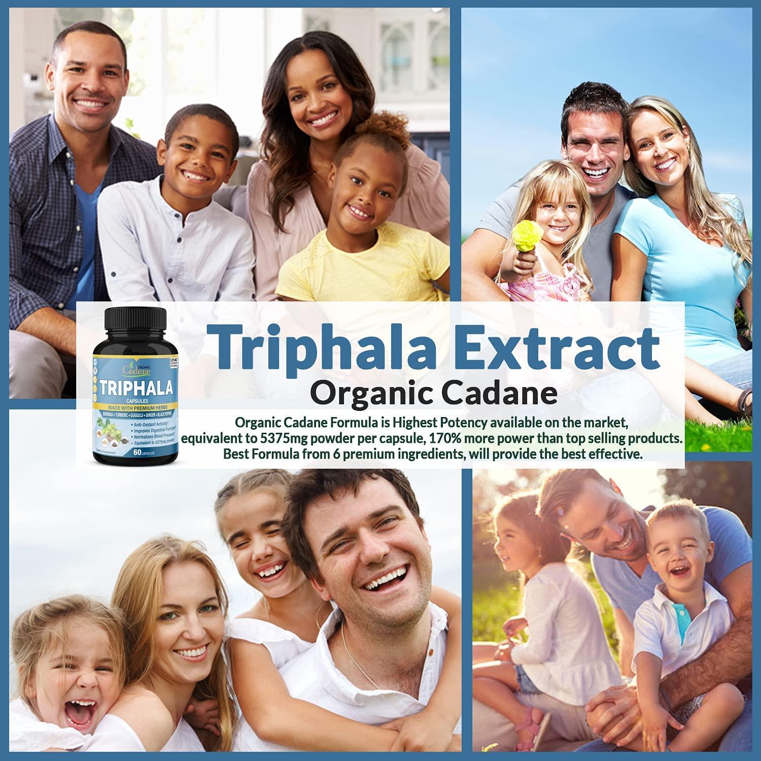 Organic Triphala Extract Capsules with Turmeric, Guggulu, Ginger & More 5375mg Equivalent