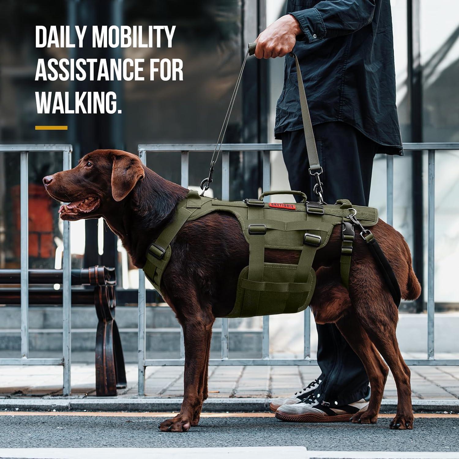 German Shepherd Service Dog Harness With Handle German Shepherd