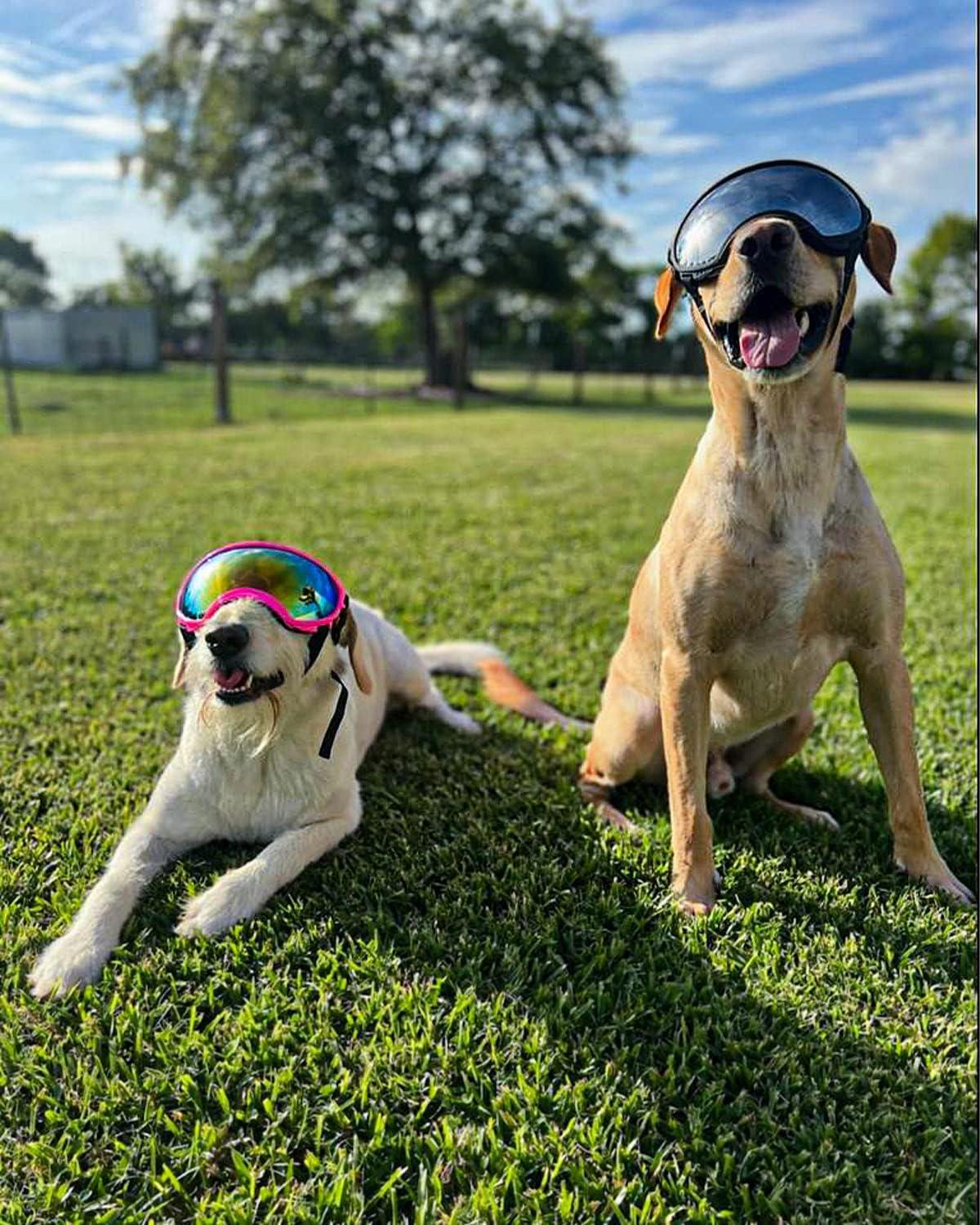 Windproof Dog Glasses Protective Dog Sunglasses Uv Wind Dust