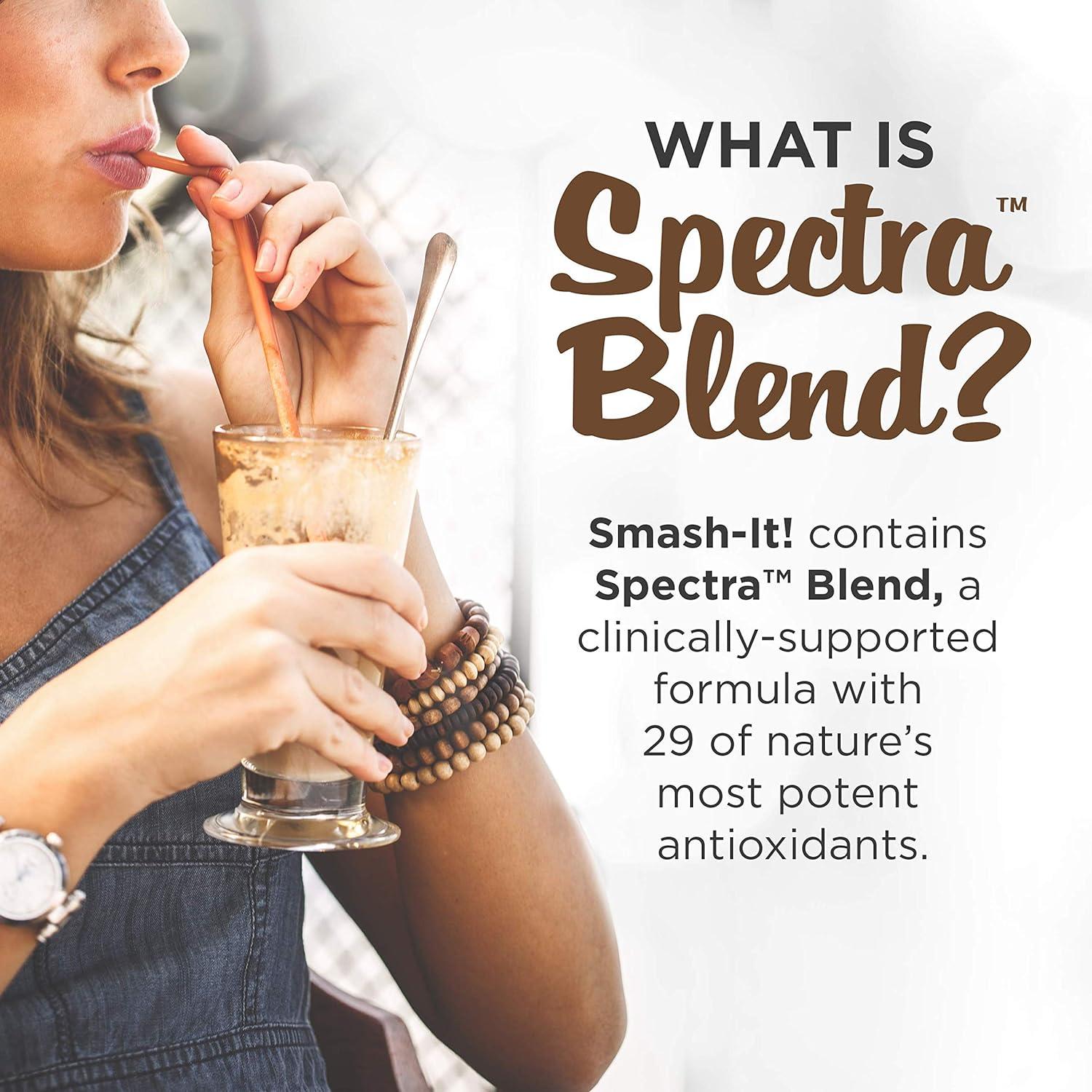 Primal Labs SmashIt Low Carb Protein Powder Keto Meal Replacement Shake (Chocolate) 795g