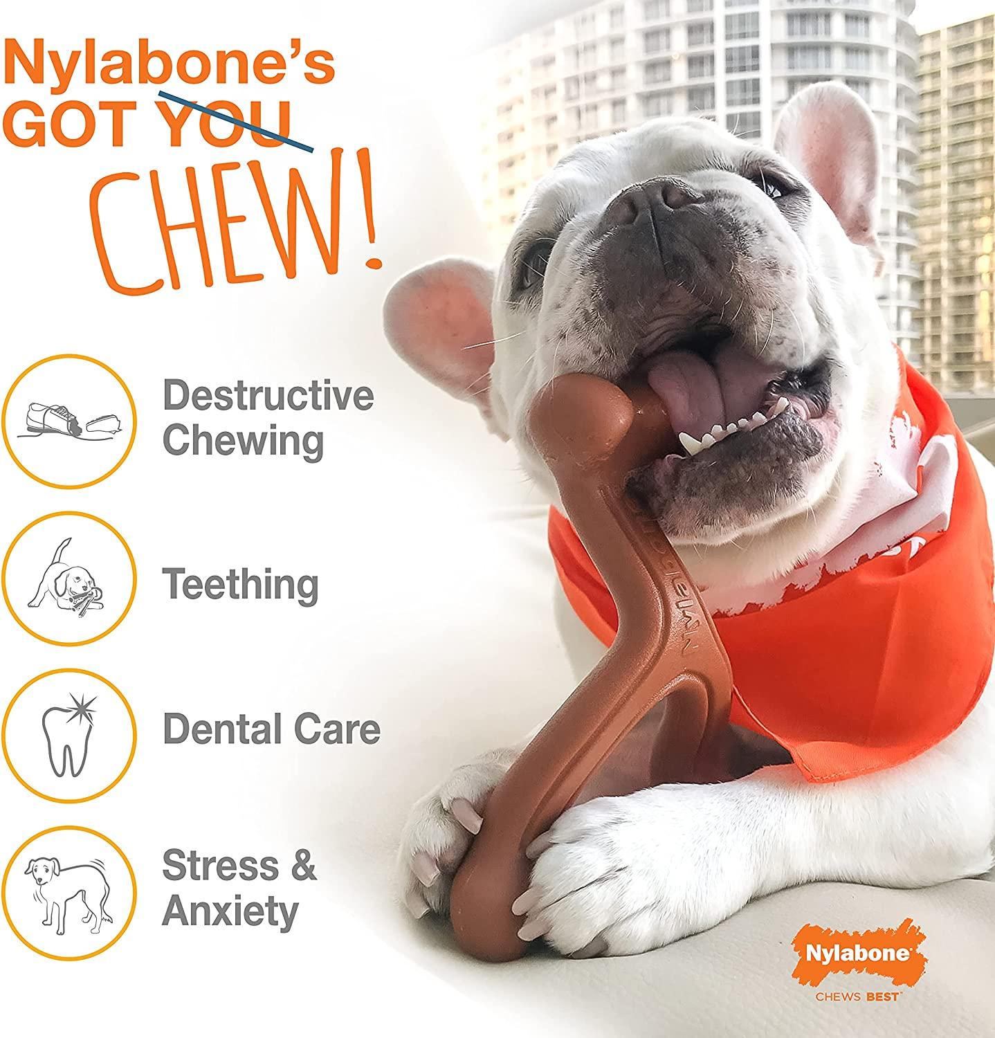 Best chews store for aggressive chewers