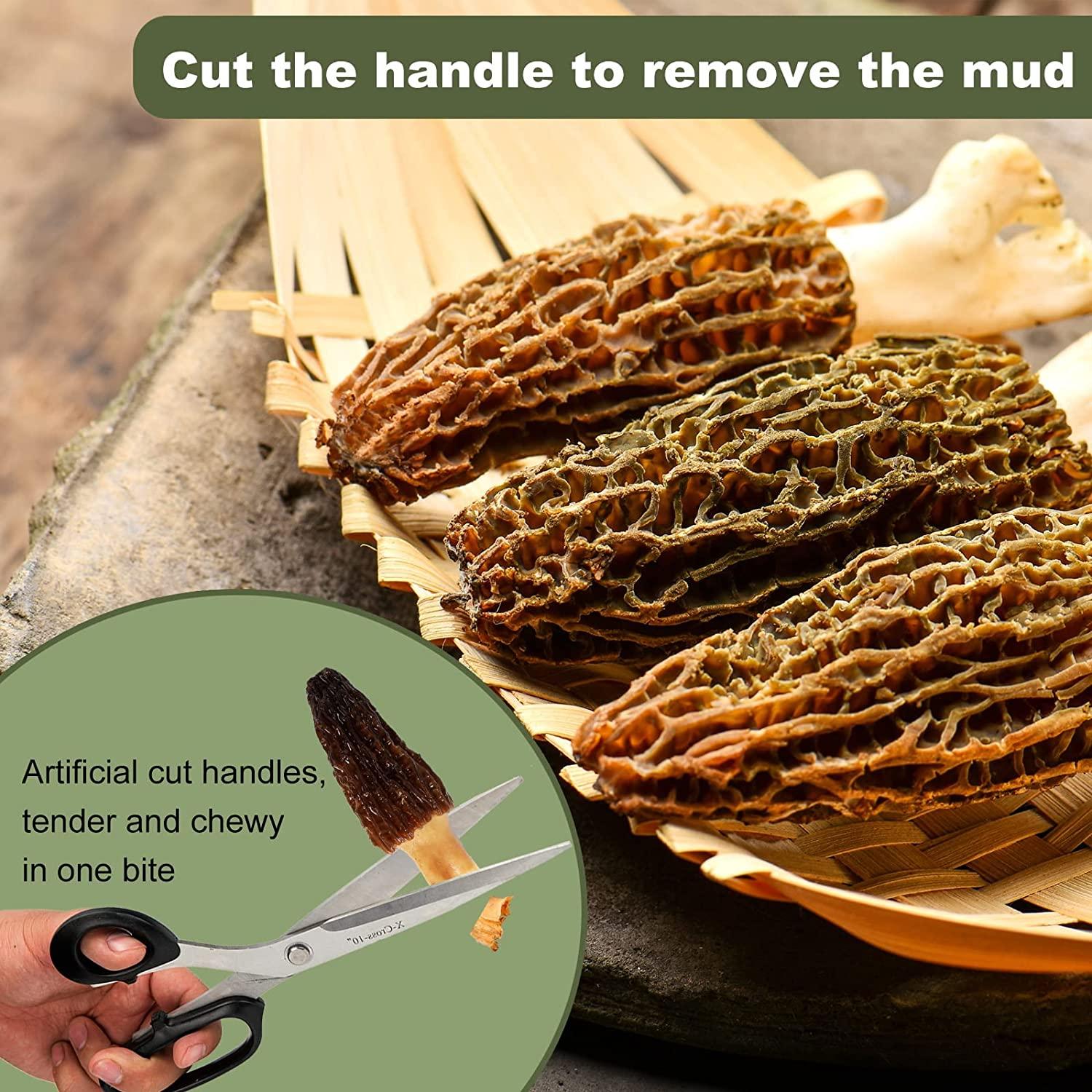 KASVAN Wild Dried Morel Mushrooms Morchella Conica 1 Ounce with