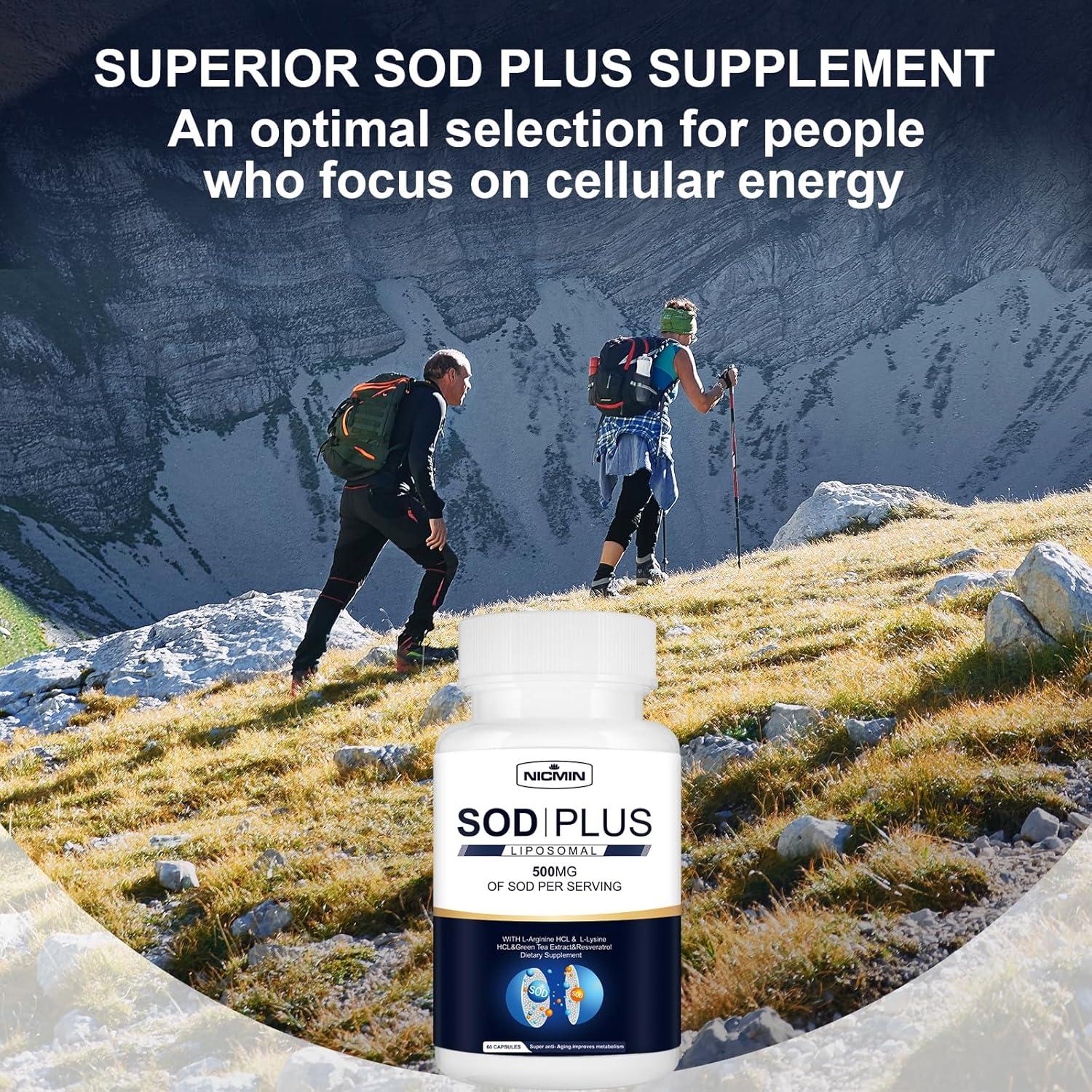 Superoxide Dismutase Supplement 500mg - Immune Support with Liposomal  Glutathione Green Tea Resveratrol & Antioxidants - 60 Capsules | Buy Now  with Express International Delivery | GoSupps.com