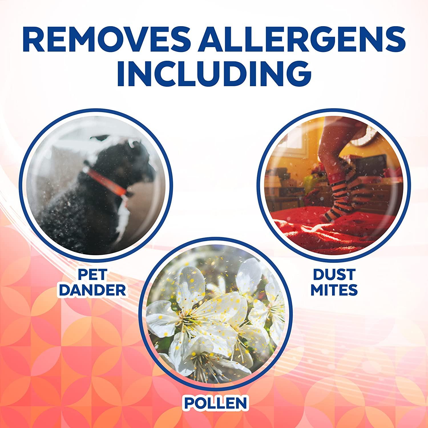 Can I Use Lysol Wipes On Dogs