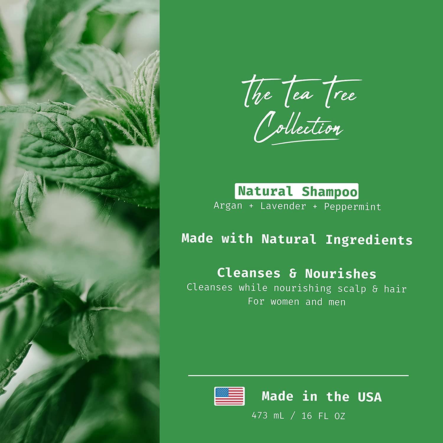 Tea Tree Shampoo, With Tea Tree Oil, Peppermint Oil, & Vitamin E