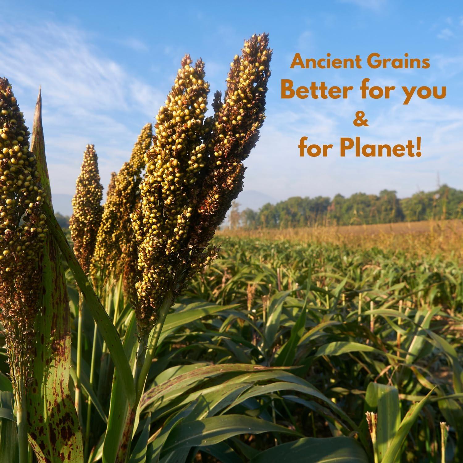 NIHKAN Sprouted Jowar Flour Millet flour) 454g Gluten free