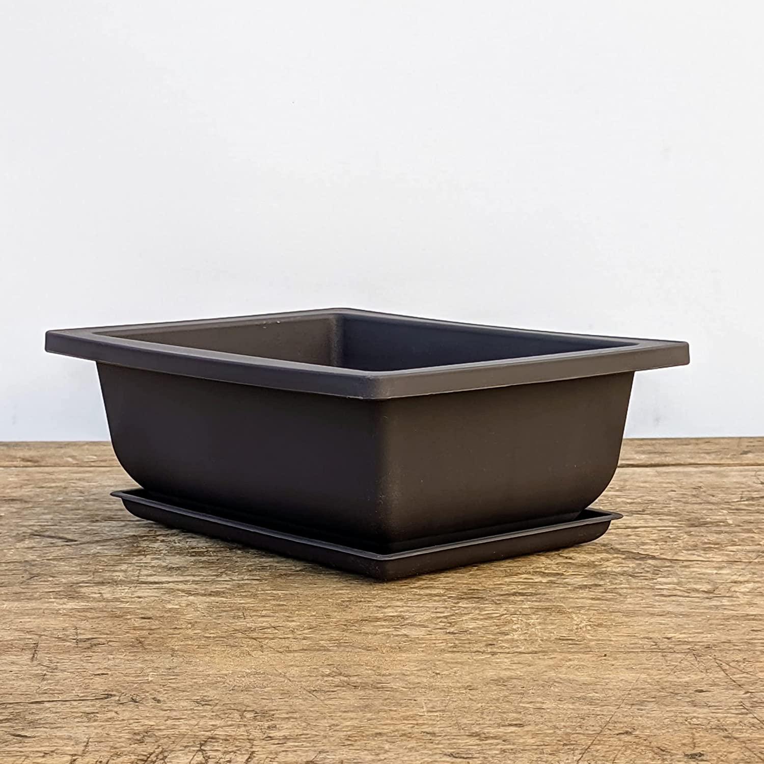 Bonsai Training Pots Humidity Trays 6 Inch - Durable Shatter-Proof  Poly-Resin Set of 3 | Large Planters with Built-In Mesh | 3-Pack | Buy Now  with Express International Delivery | GoSupps.com