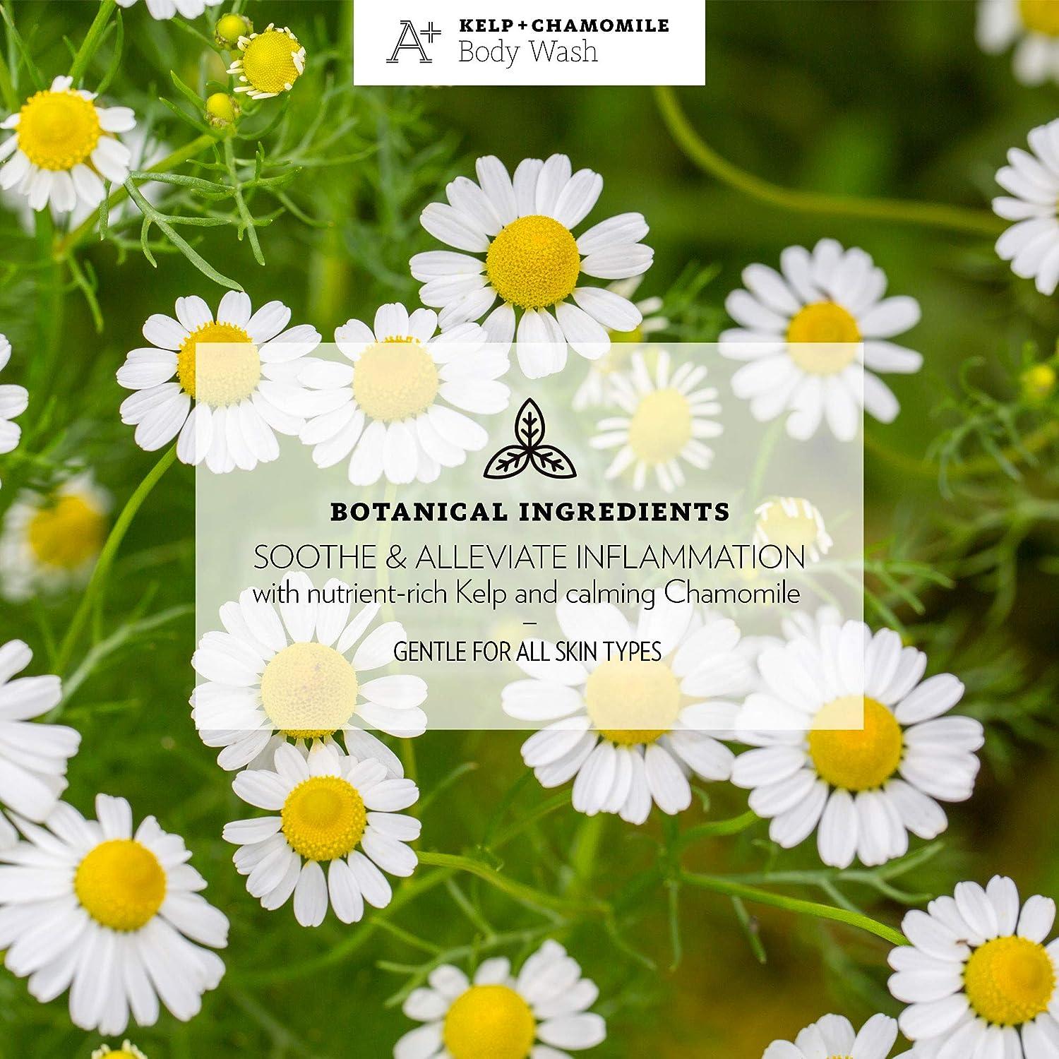 AGRARIA Lemon Verbena Kelp + Chamomile Body Wash