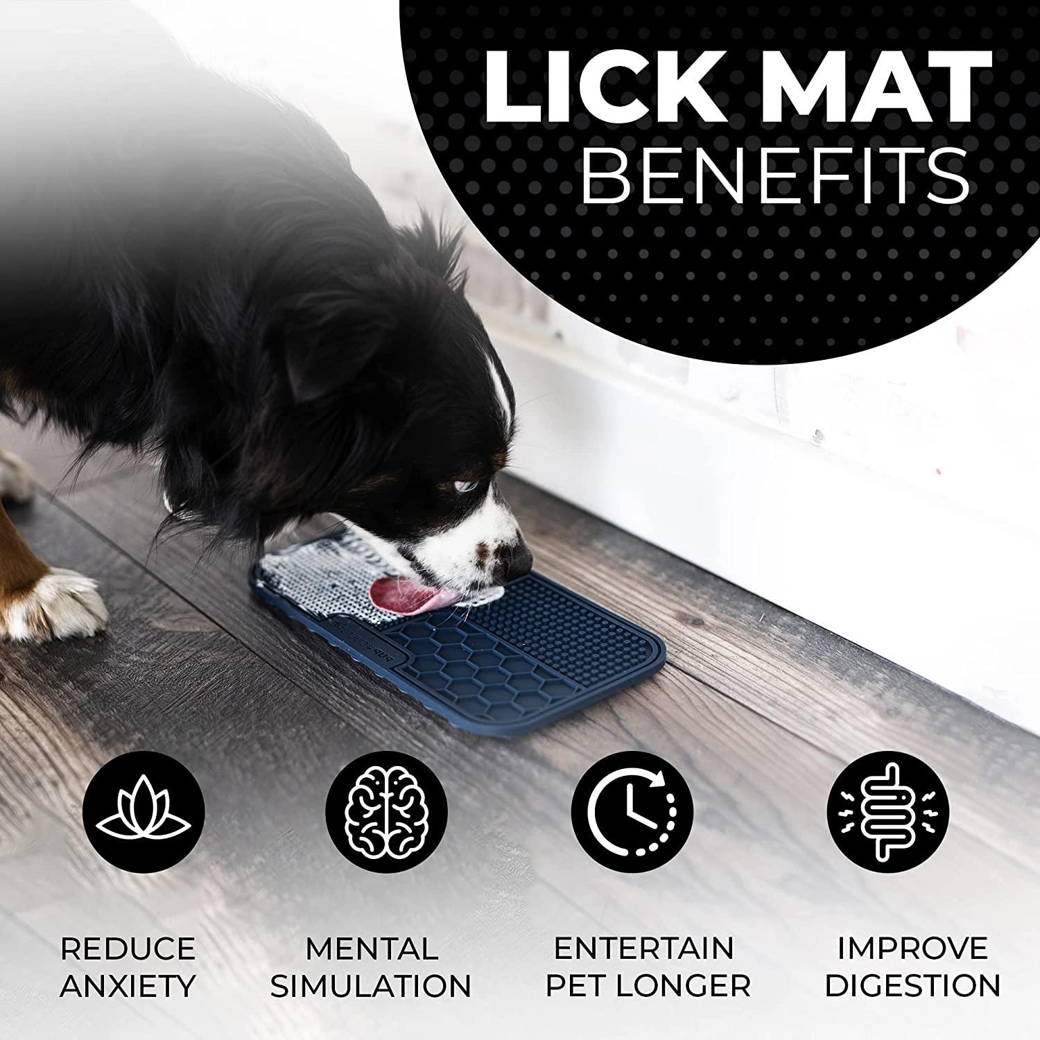 Pet supplies plus puppy pads store