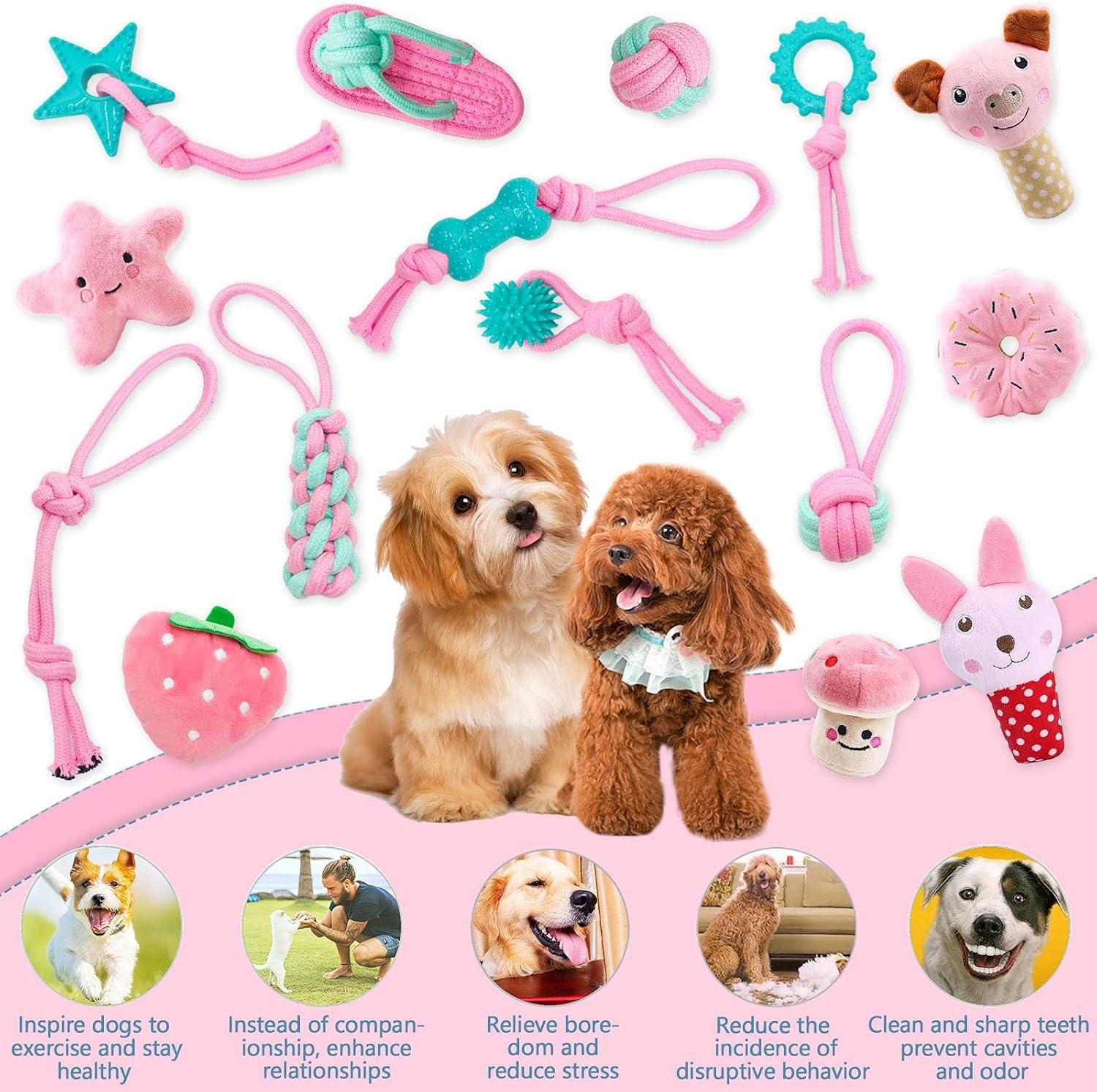 20 foot leather dog leash Full Leather Dog Leash