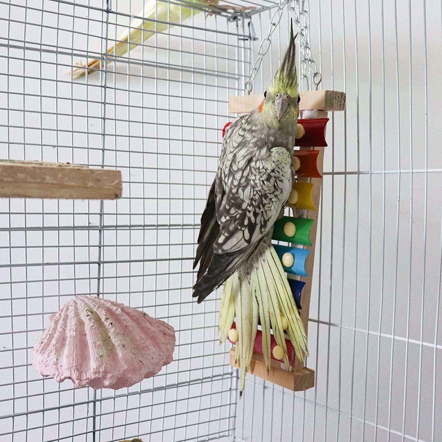 Dnoifne Colorful Bird Xylophone Toy, Suspensible Funny Xylophone Toy