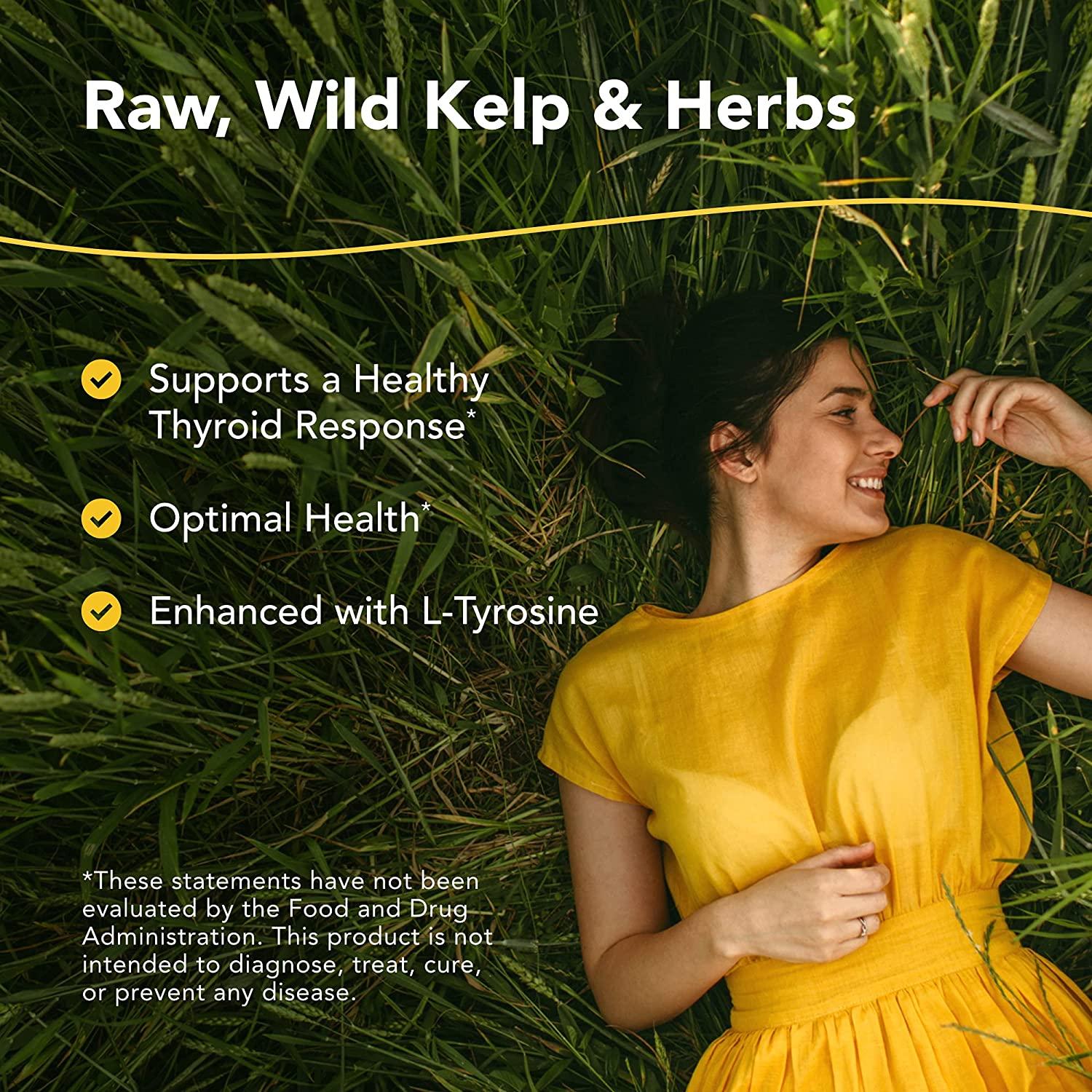 North American Herb & Spice Thyroset 90 Capsules Wild Kelp & Herbs Blend Healthy Thyroid