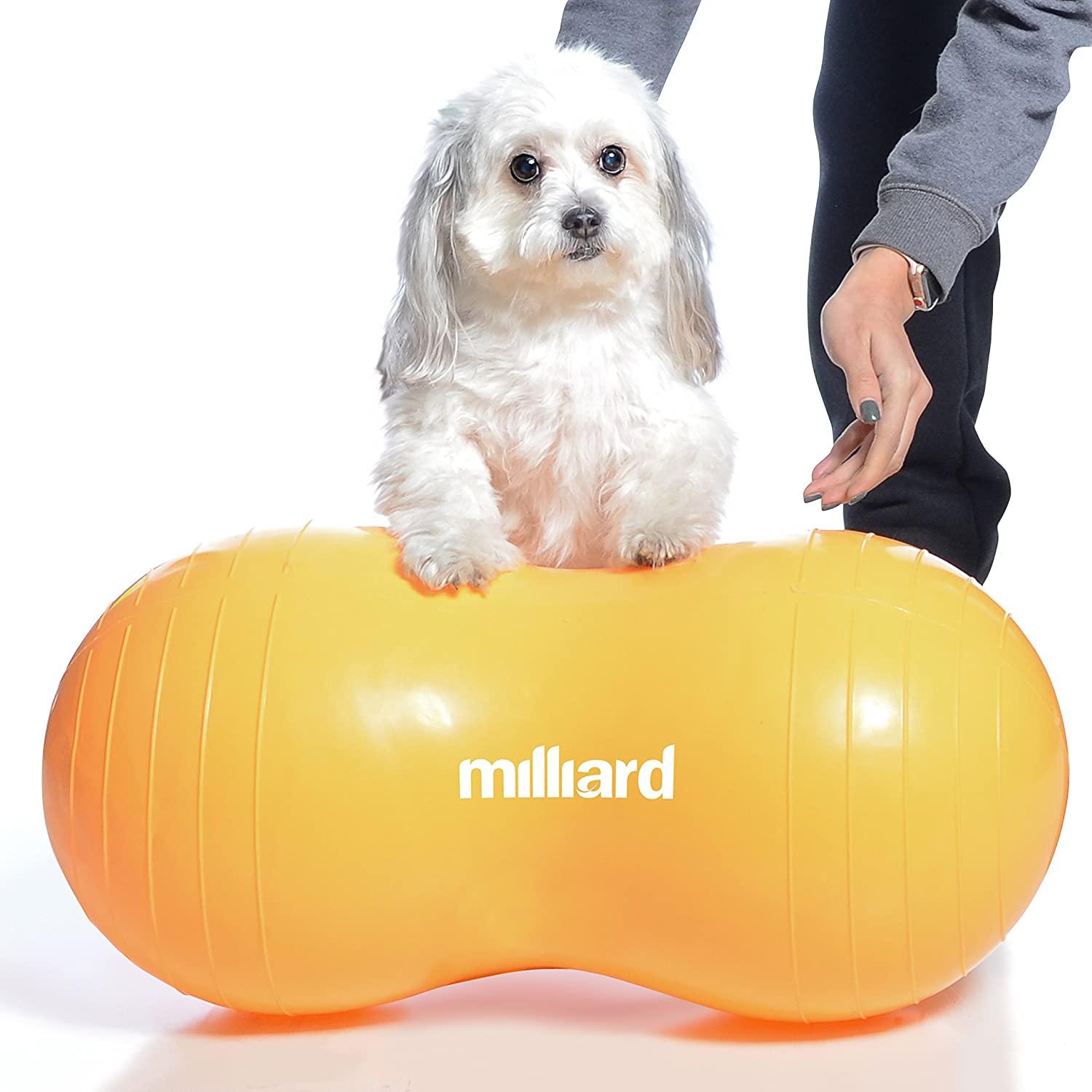 Peanut Ball - Thumbnail 3