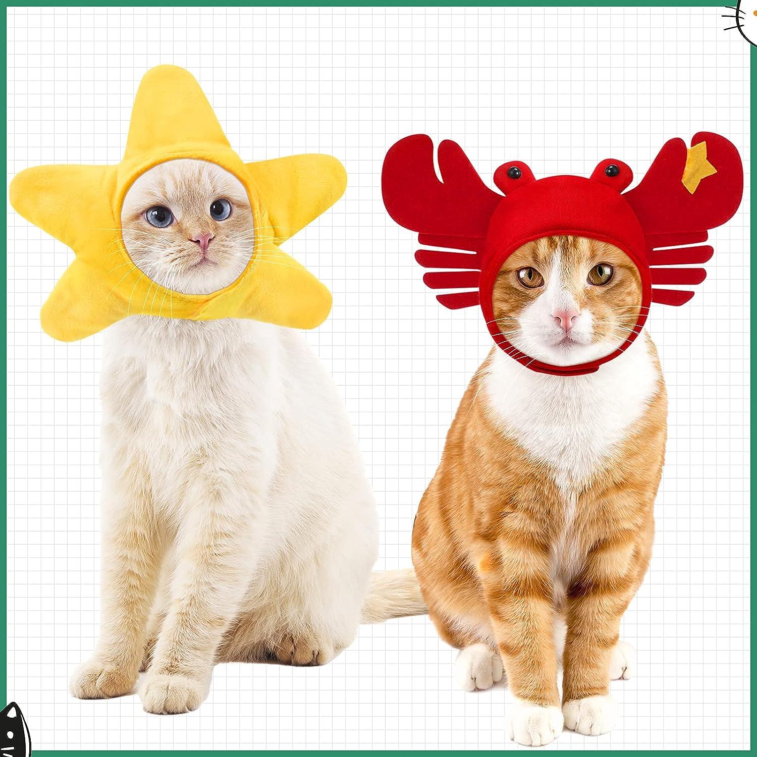 Cat and dog online costume