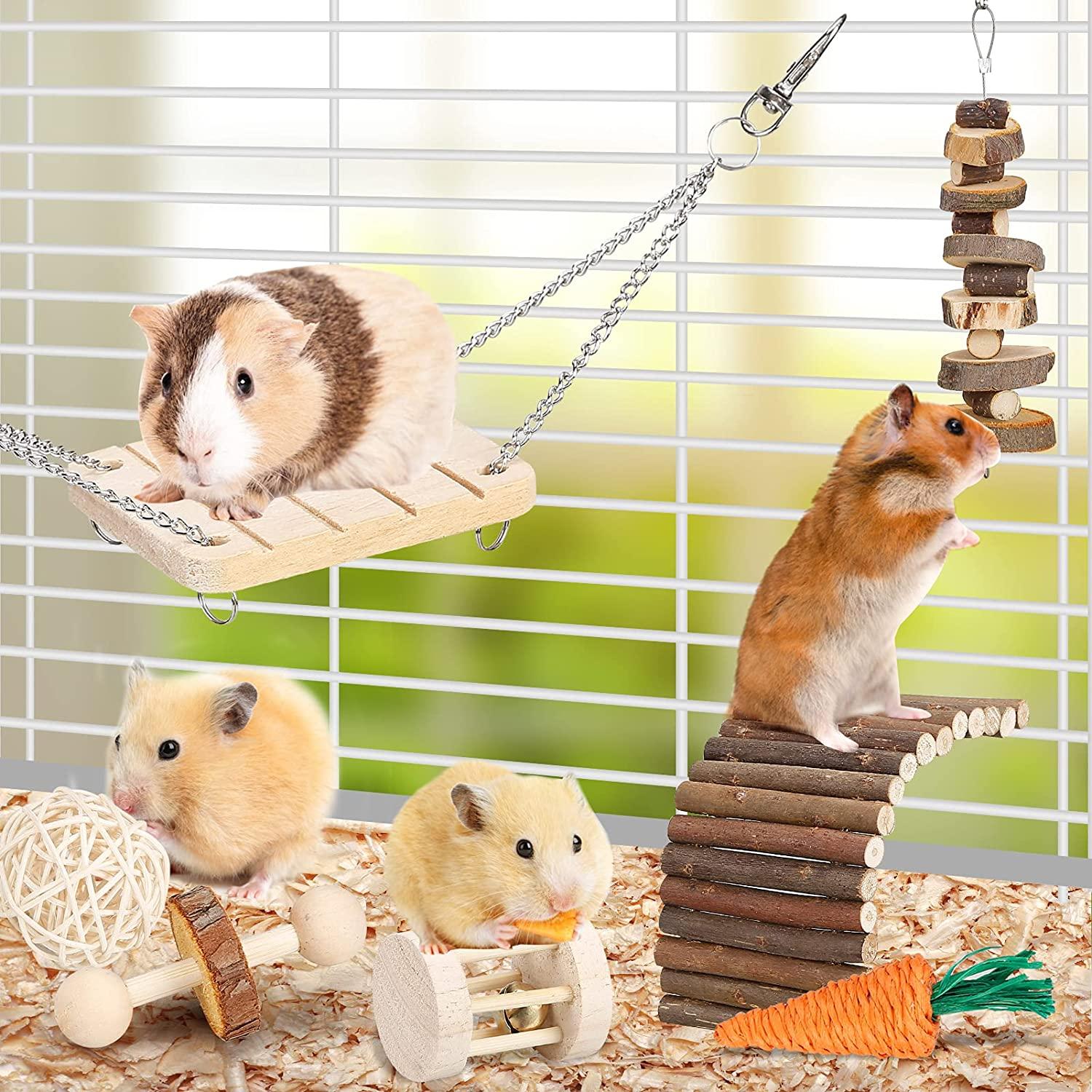 Hamster Chew Toys Set Small Animal
