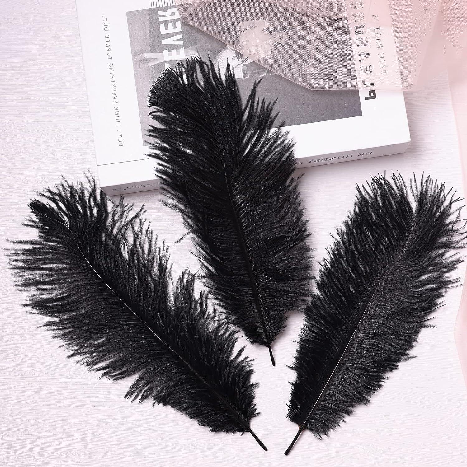 Black Ostrich Feathers