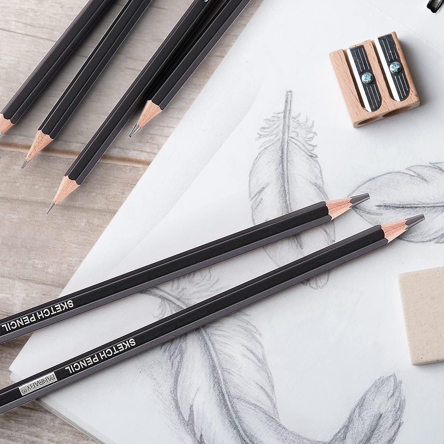 PANDAFLY Professional Drawing Sketching Pencil Set - 12 Pieces Graphite  Pencils(14B - 2H), Ideal for Drawing Art, Sketching, Shading, Artist  Pencils for Beginners & Pro Artists 12 Pack - Black