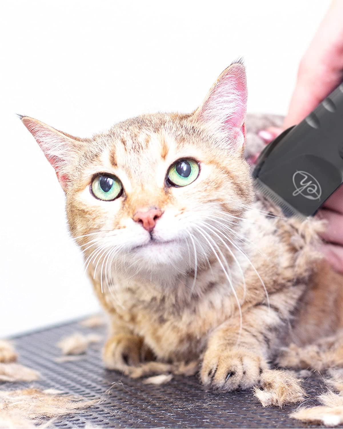Professional cat grooming clippers sales