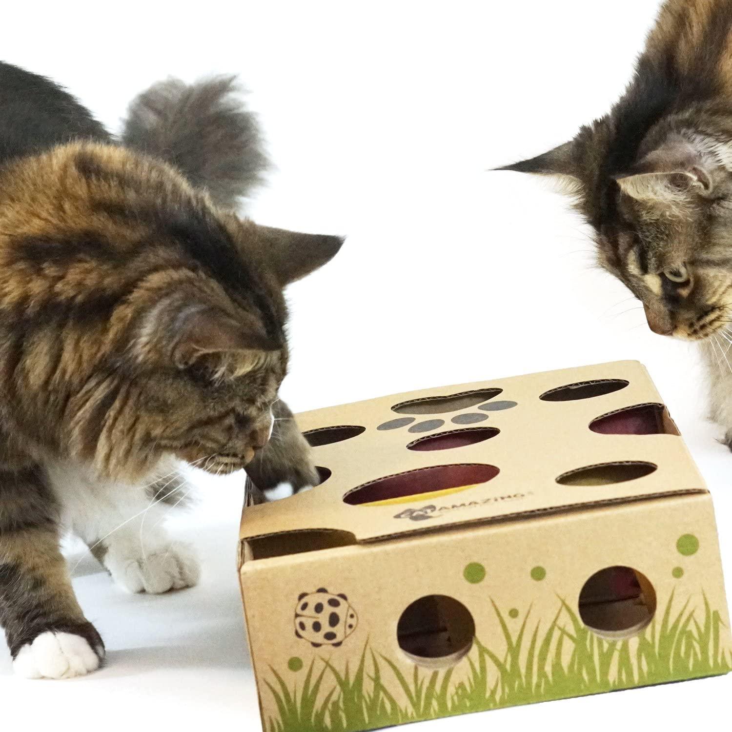 Cat Amazing CLASSIC! Interactive Treat Maze & Puzzle Feeder Cat