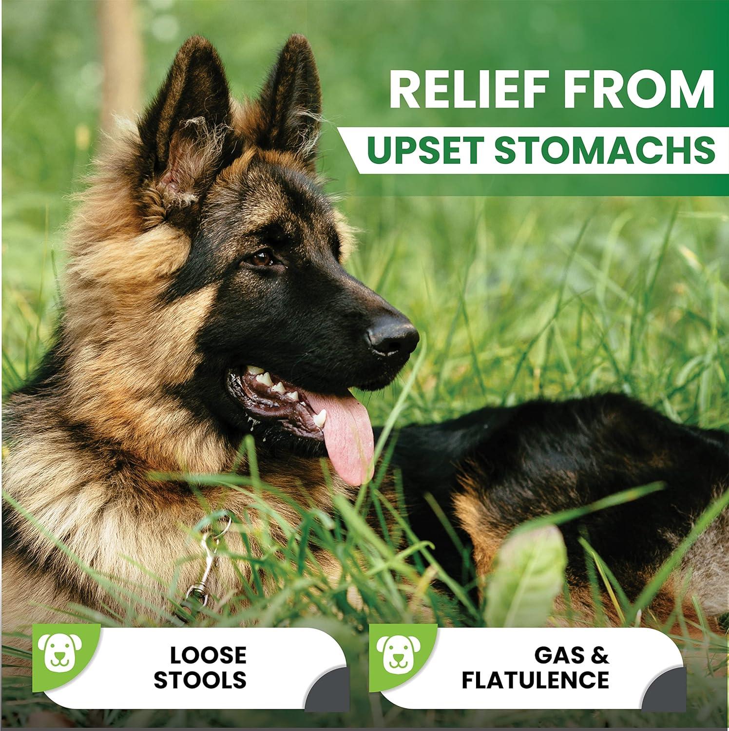 Tummy Relief for Dogs Fast-Acting Diarrhea Treatment Stomach - Main Image