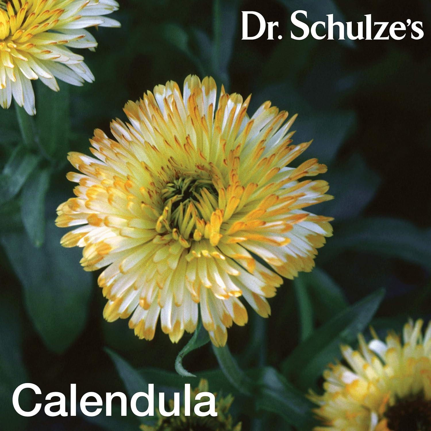 Dr. Schulze's Deep Tissue Oil Herbal Support for Muscles, Tendons