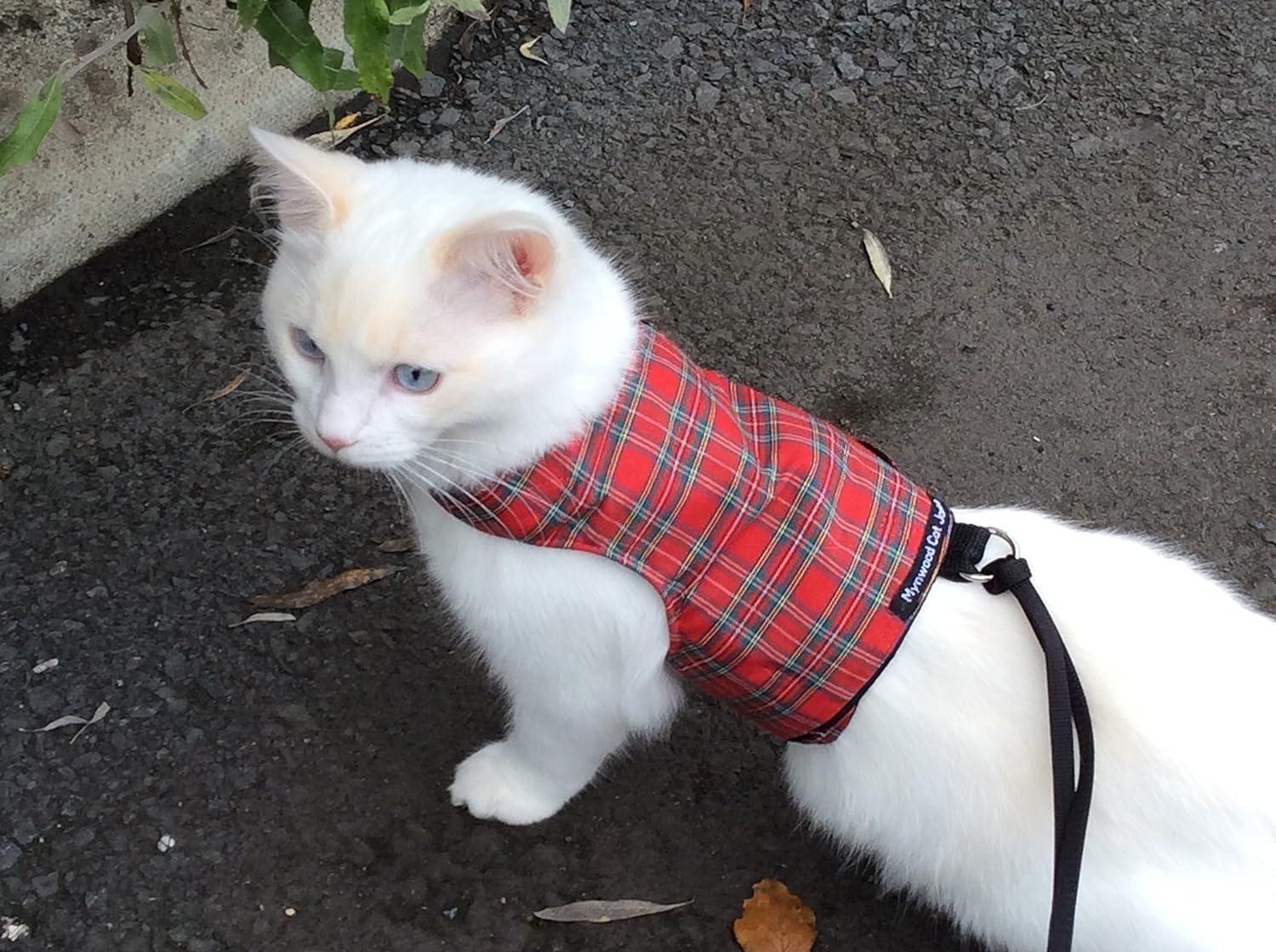 Mynwood Cat Jacket/Harness Royal Stewart Tartan Adult Cat