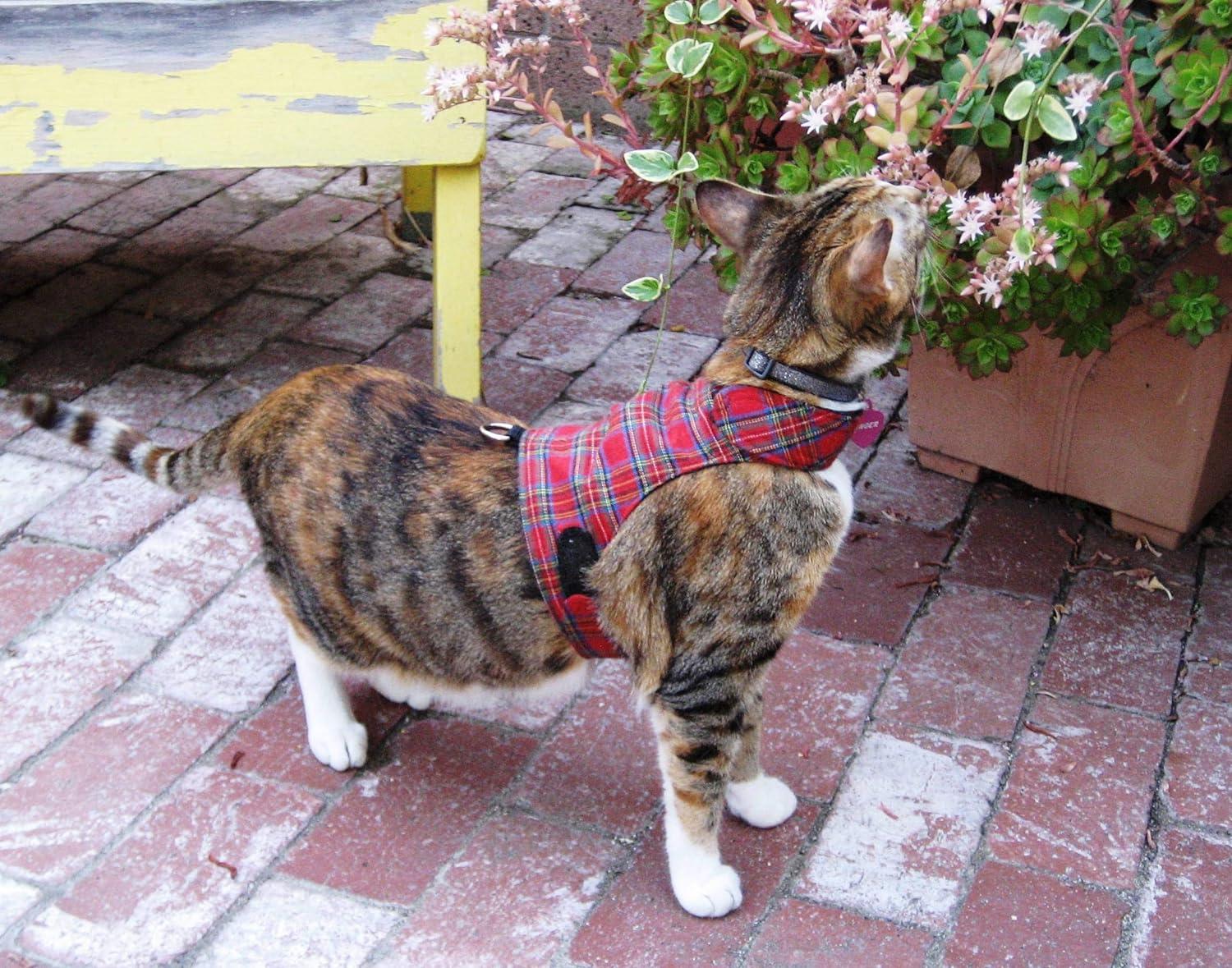 Chaqueta/arnés Mynwood Cat Black Denim Adult Cat | Cuotas sin interés Chaqueta/arnés Mynwood Cat Black Denim Adult Cat | Cuotas sin interés