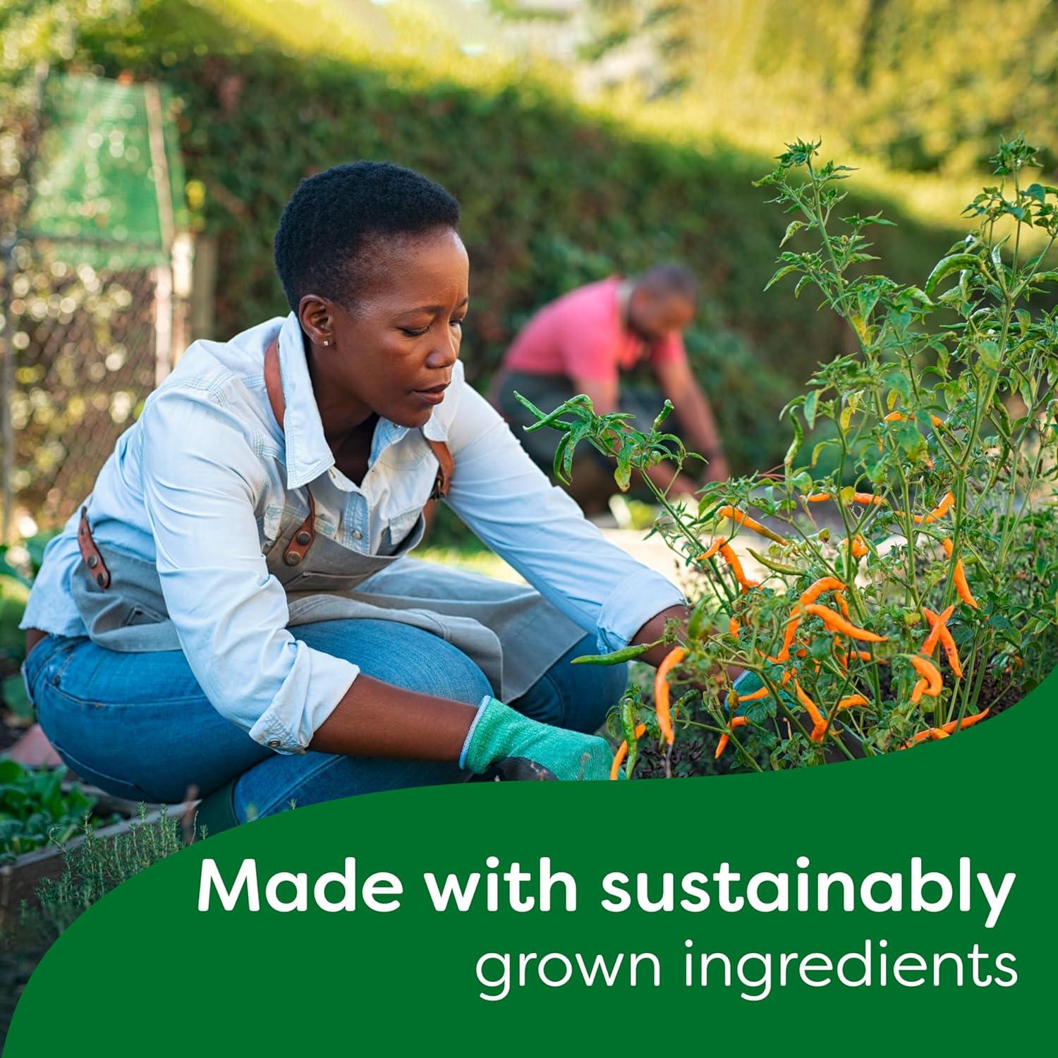 Knorr Vegetable Stock Cubes glutenfree to add a rich flavour to vegetablebased and vegetarian